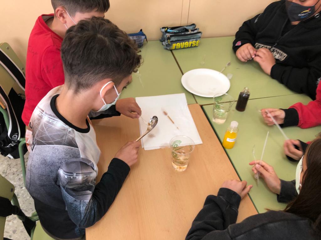 31efb3b4-25a5-4bdb-a303-77ff6613e974