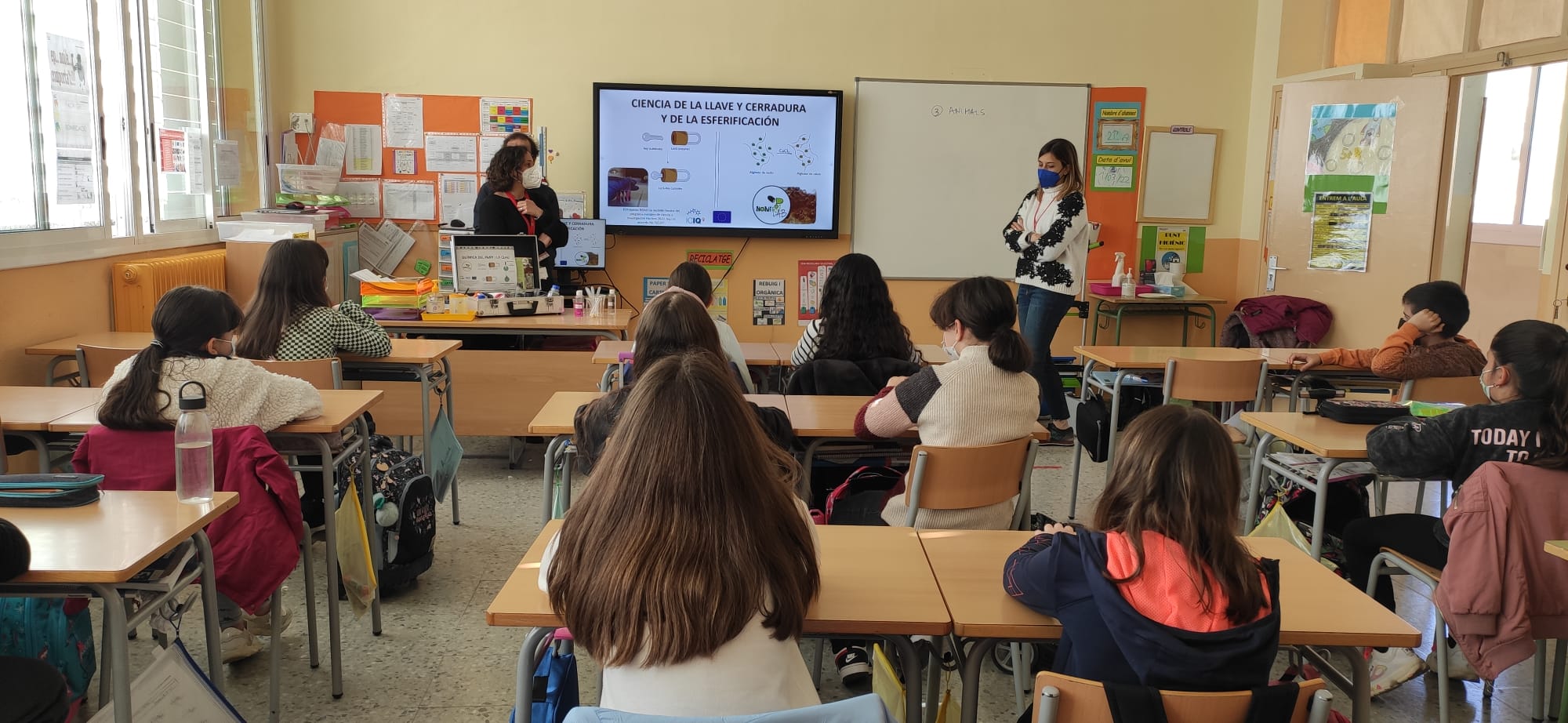 601392b1-f3dd-497b-bbf7-ef57e1224abe