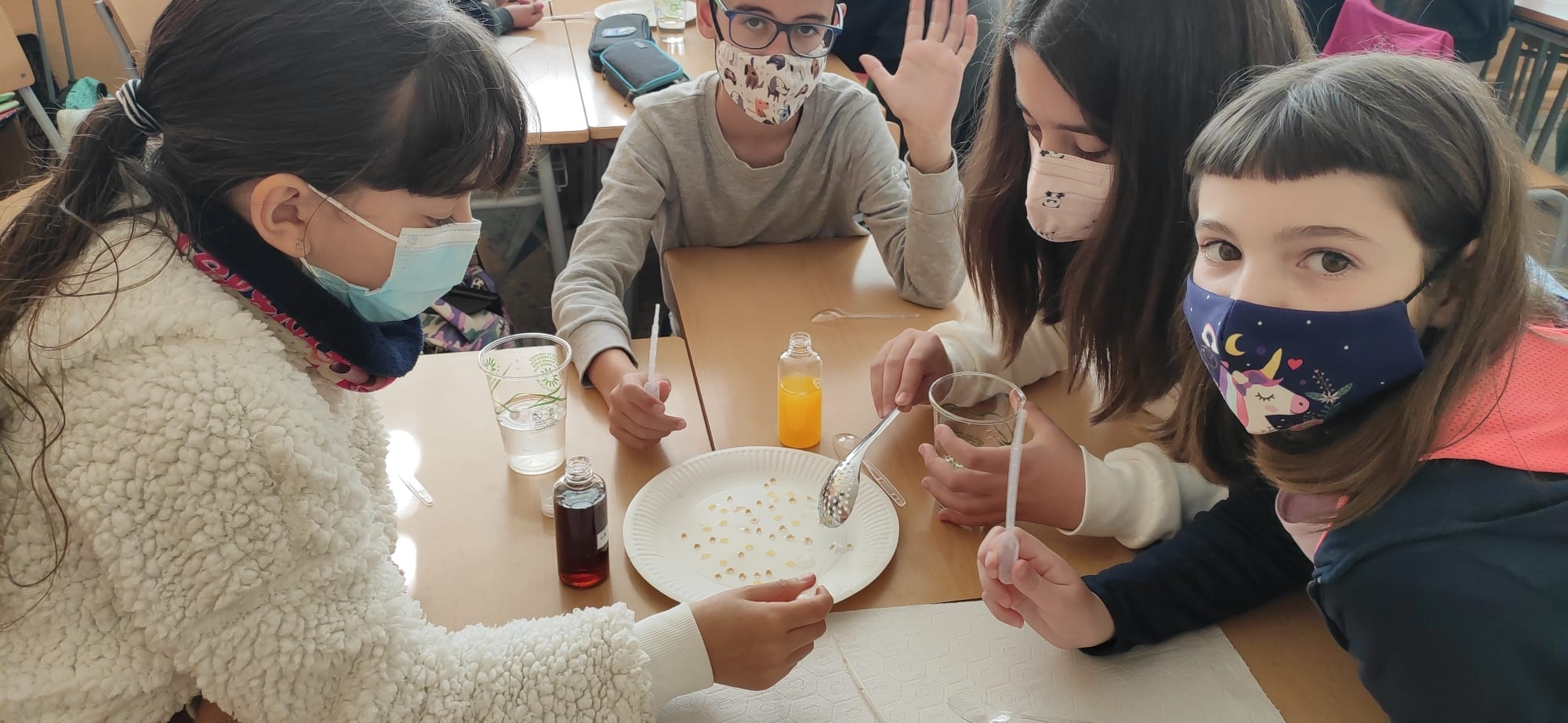 d7f0b655-cf40-4296-971c-7e97a478cea2