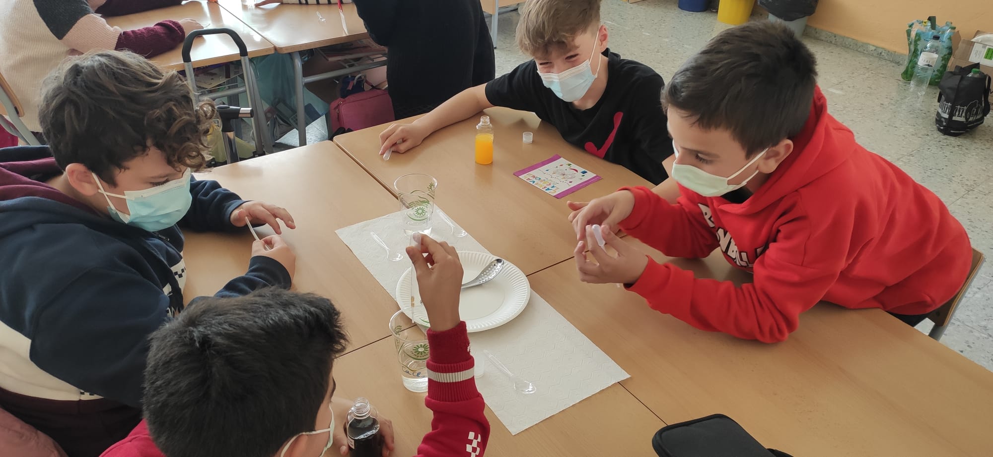 fef4d605-b68e-41c5-a3b6-93c46edb5e21