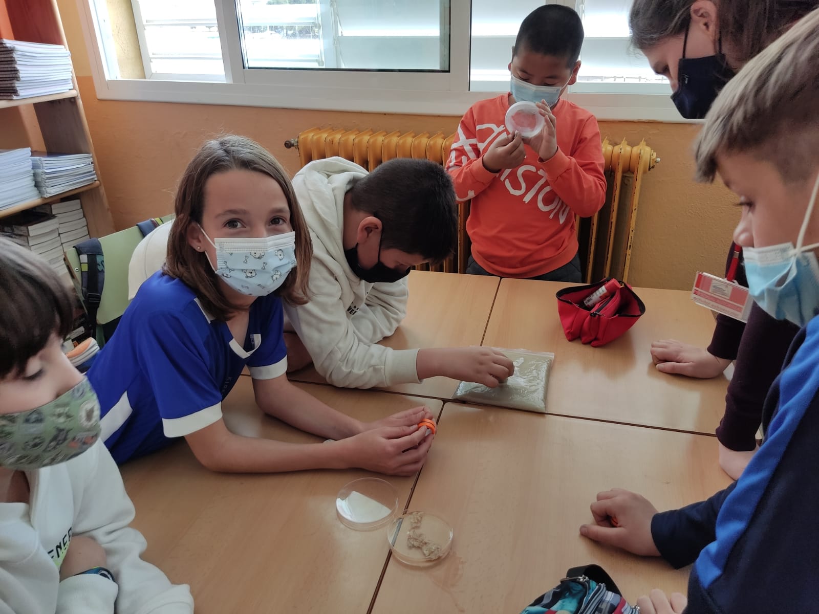 d3f96fcd-fe30-4630-8adc-5297c89e18e1