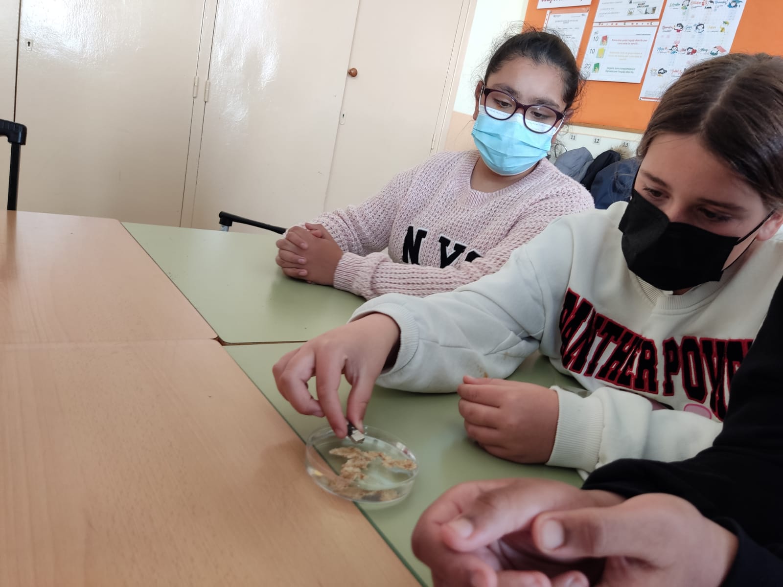 e6b3ef49-9171-4908-920d-38d8cf523ed5