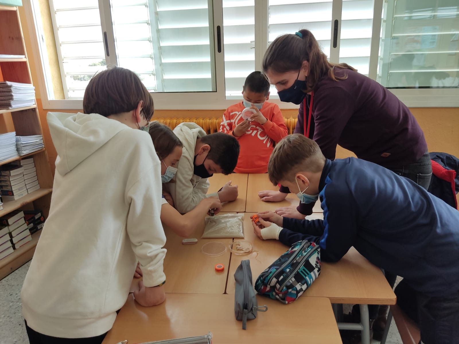 fce956d5-f83e-4c05-90aa-912715ea3625