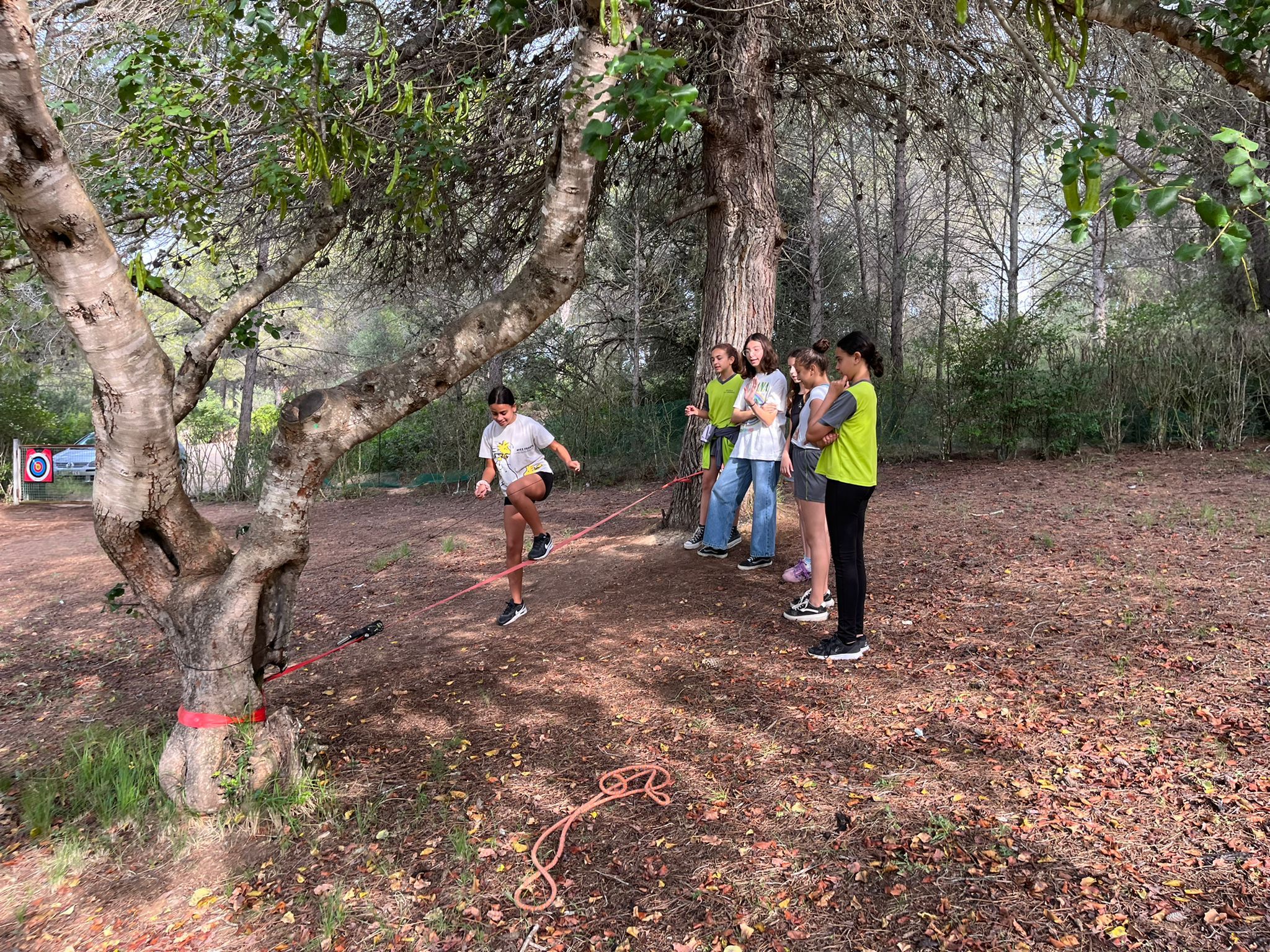 205ffe29-9ae0-480d-a8e8-43456d65fb3e