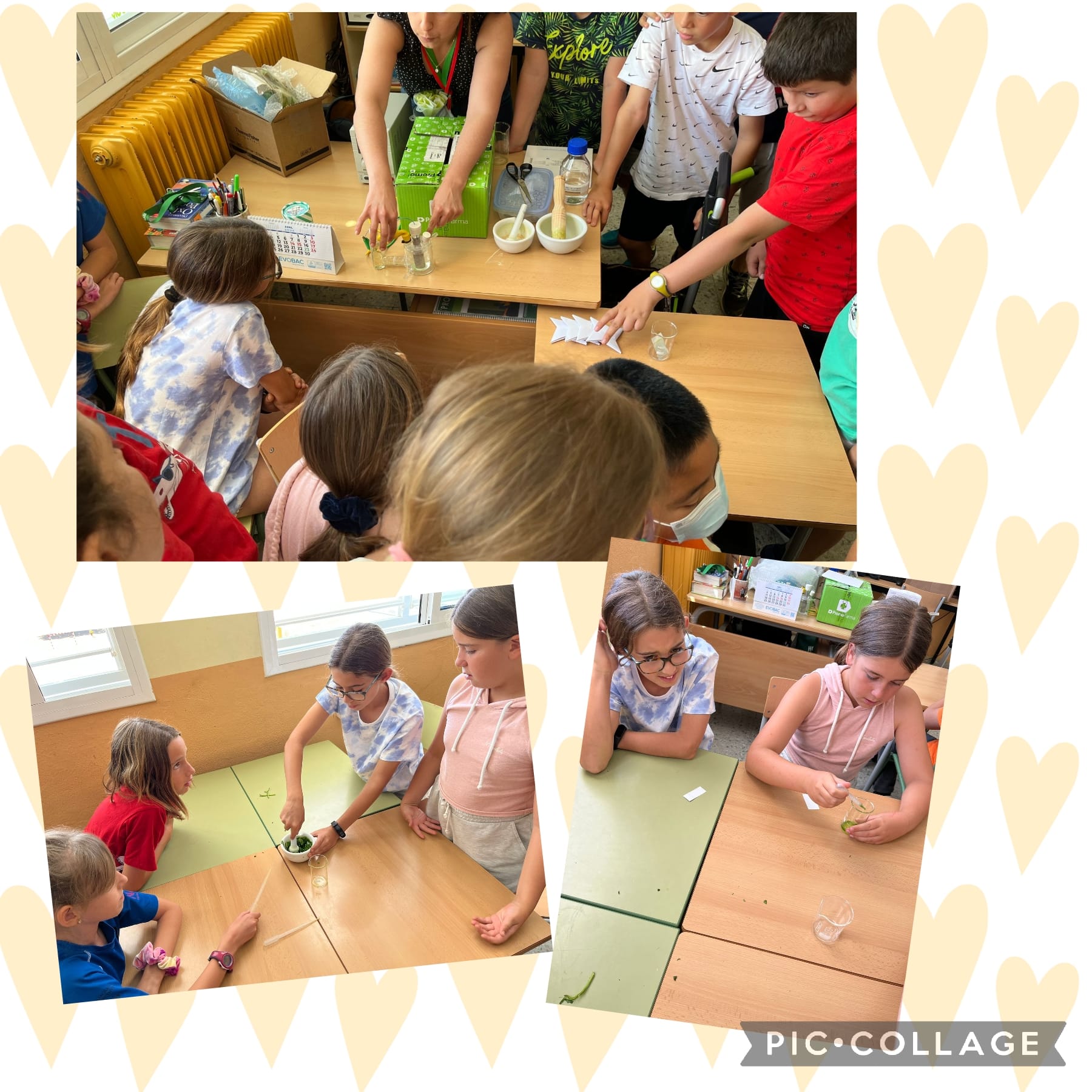 36e0f8f1-b130-4714-9a85-9d2fadee9e1b