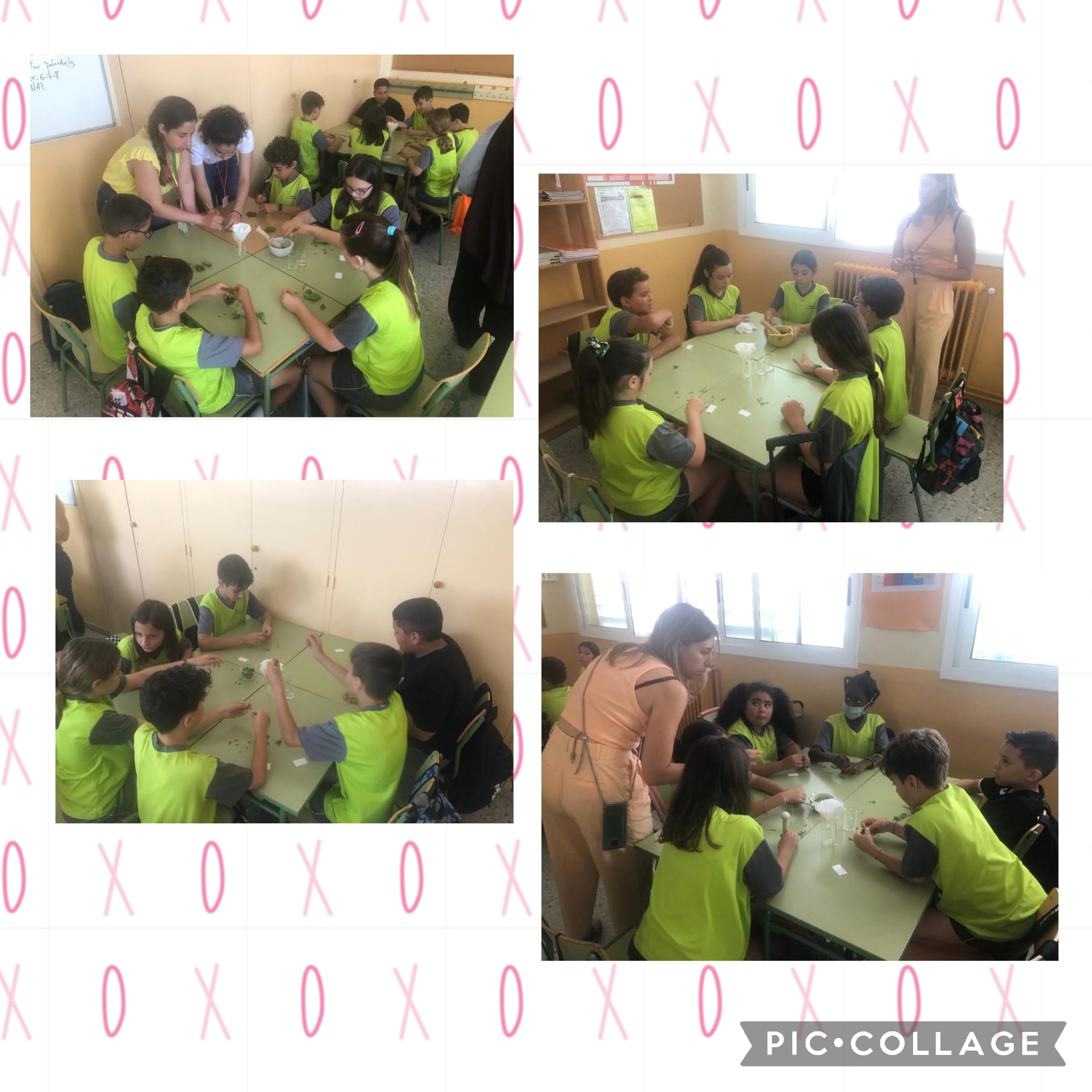 80970281-b7ae-4d05-8d5f-59f6be87a0ee