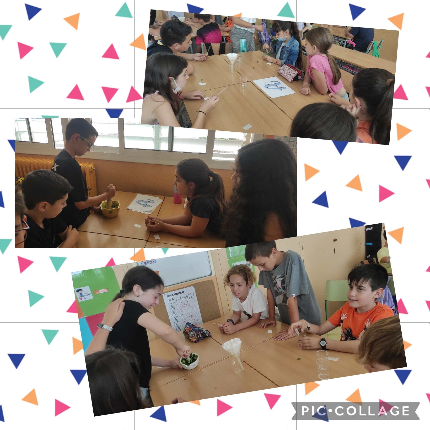 c0bda28f-7a7c-478c-a033-fd68bed706bf