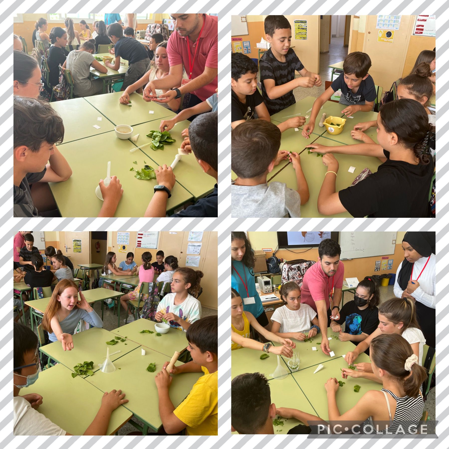 c884af93-7fae-45bd-b6d2-120f9b233687