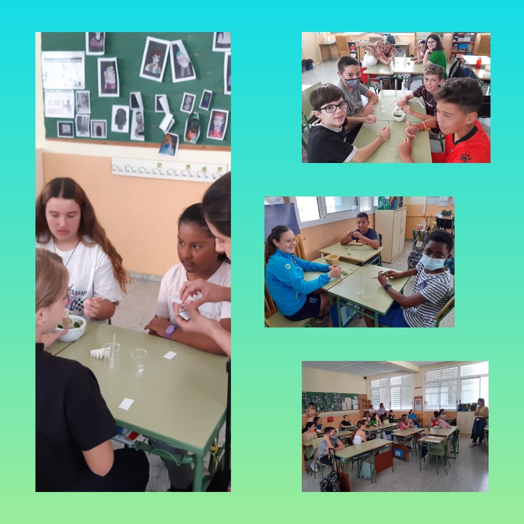 d854f49e-4b64-4fa1-96af-5c23549b517c