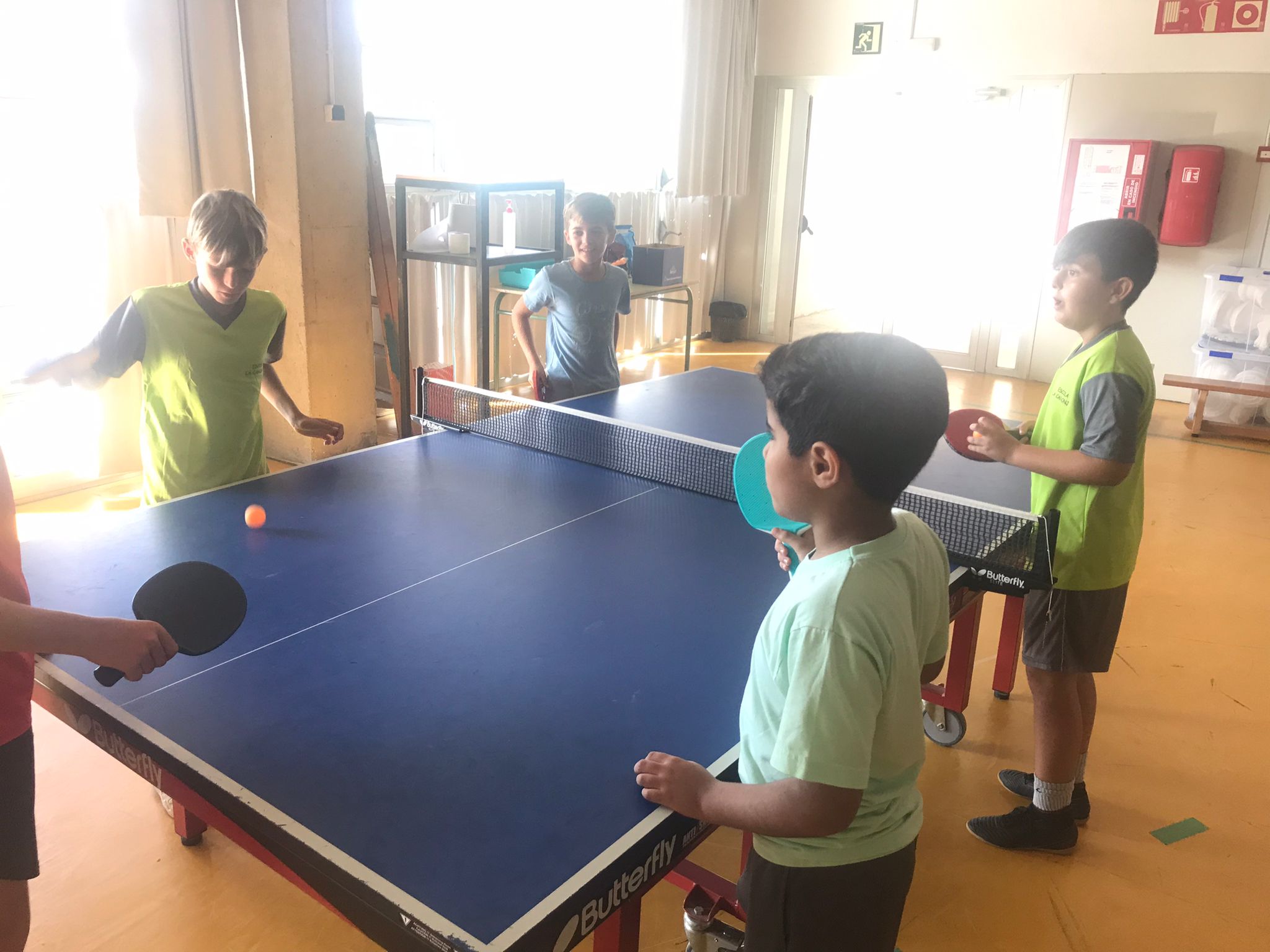 b9185d33-801d-42b9-815e-a38eae77ac85