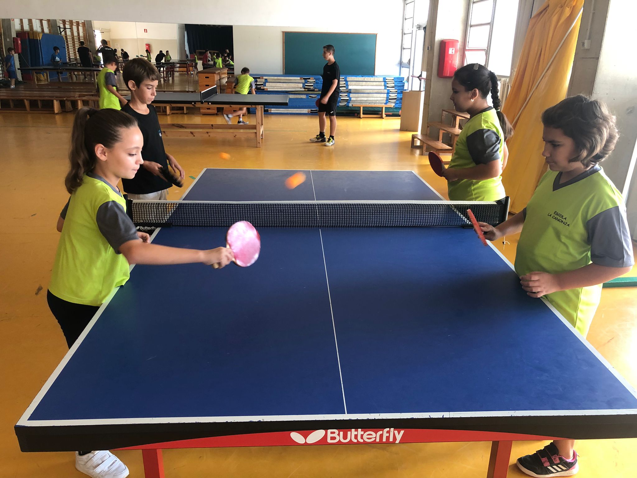 d2d0beac-6615-4163-befe-ec058140e953