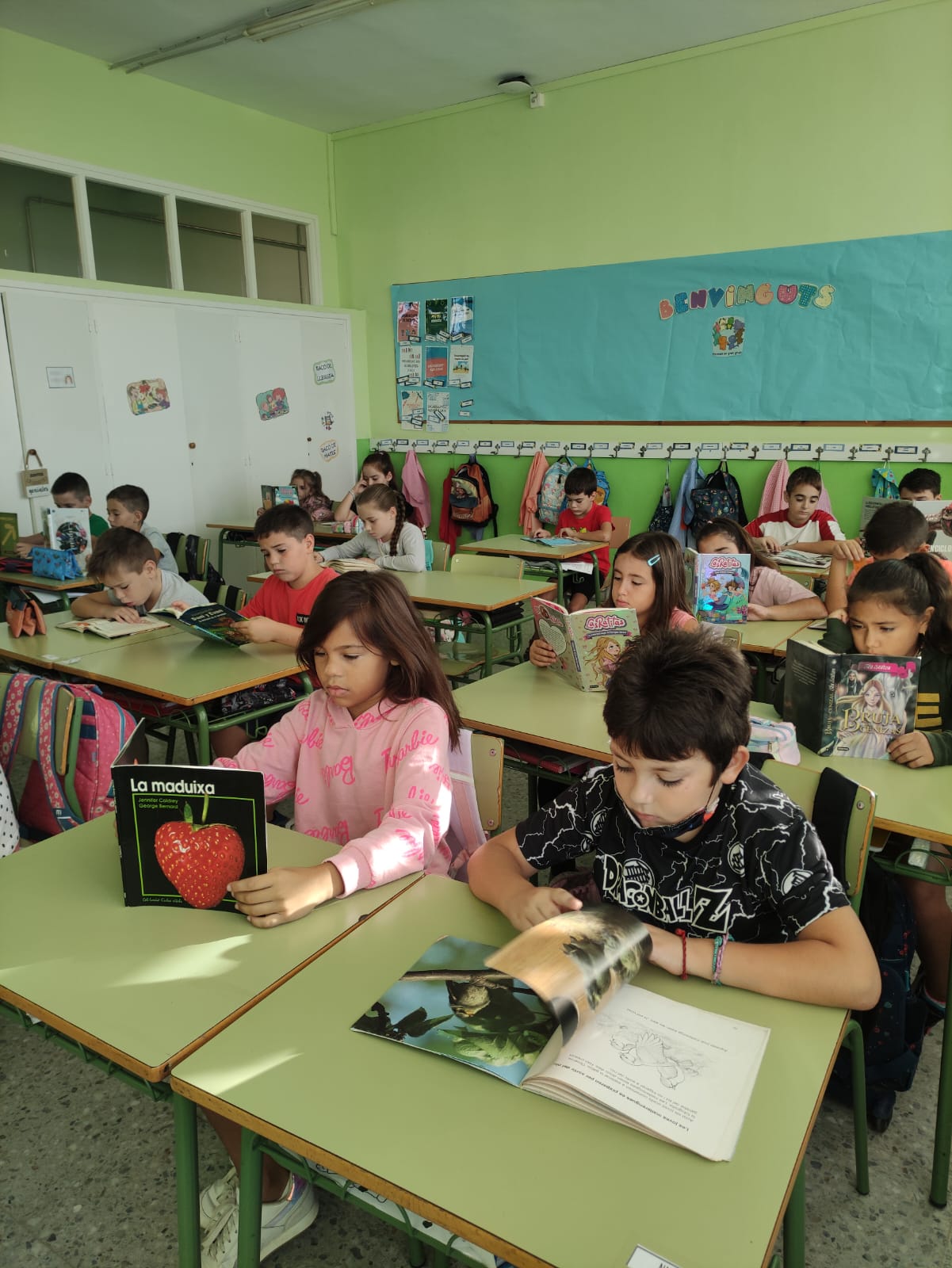 d303cb87-0d61-43cc-91c4-f777d480fe6a