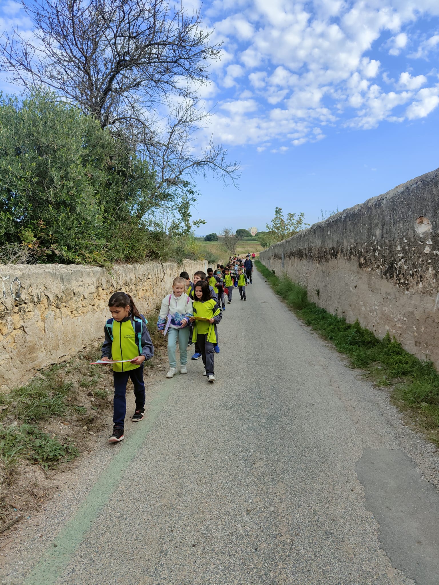 170399f8-4c78-4276-8e54-c59eae2bc3e1