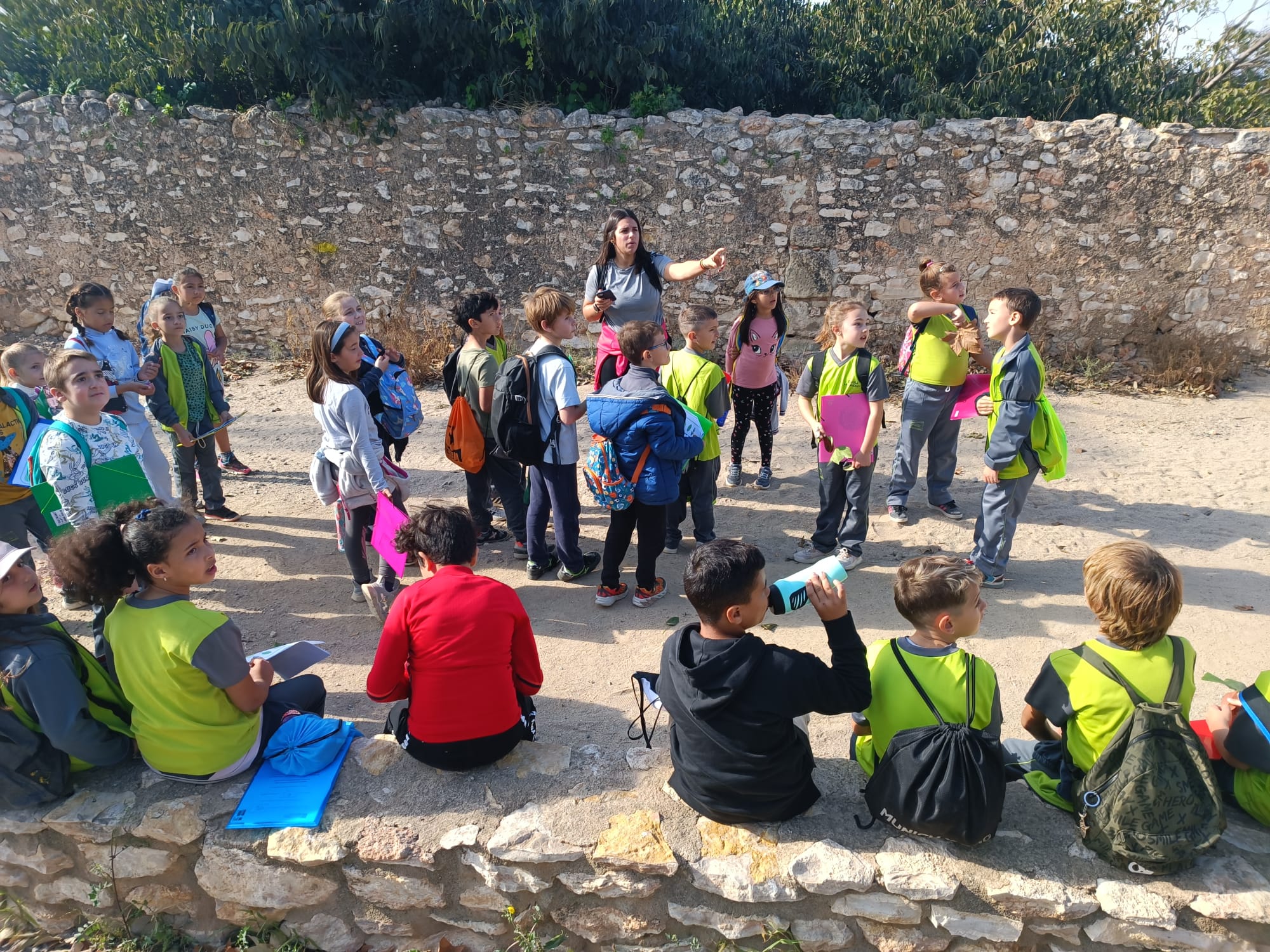 2d5c5eaa-5067-4ade-bdbc-cdbdec570a4a