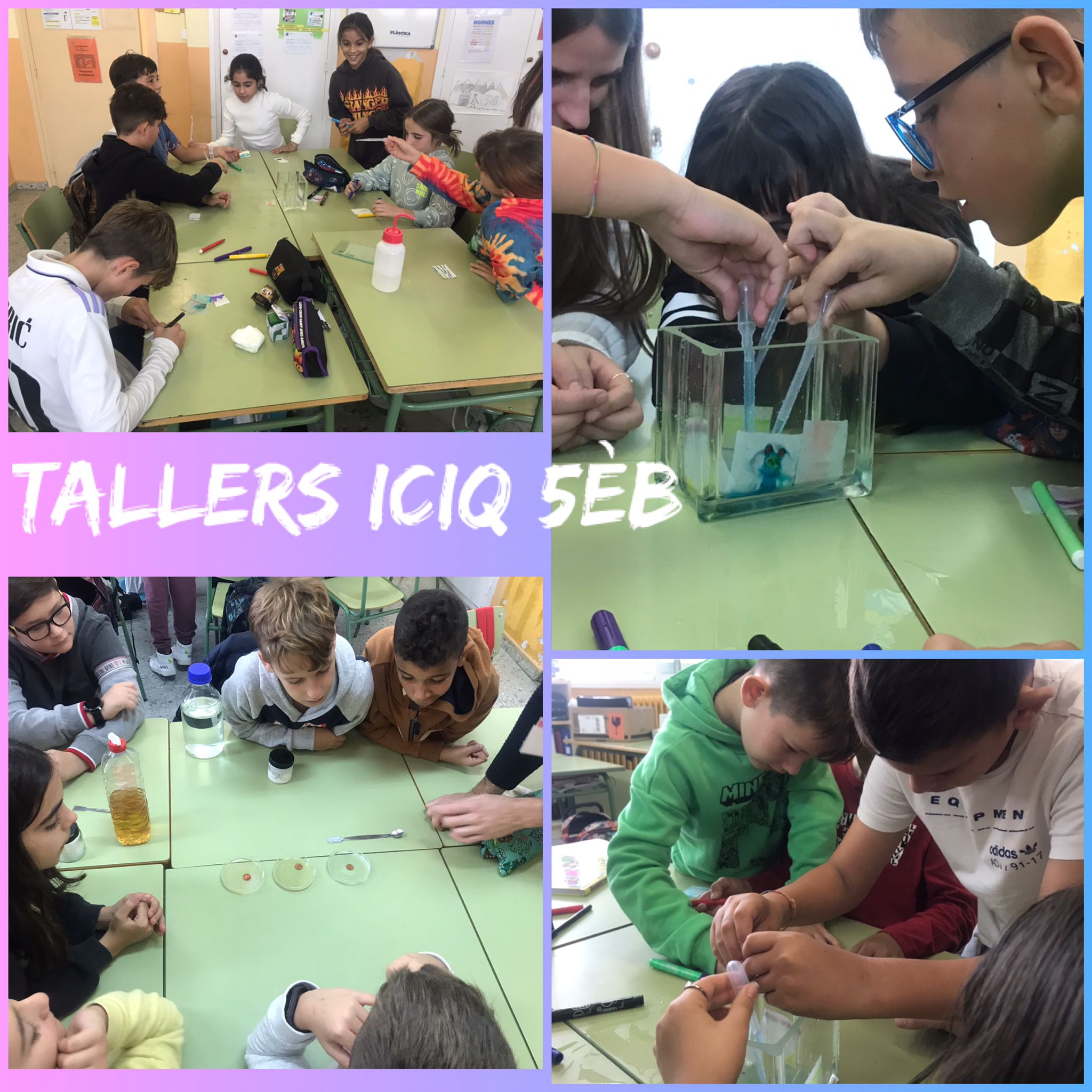 45684be3-acd5-4c58-86ef-b871937b2560