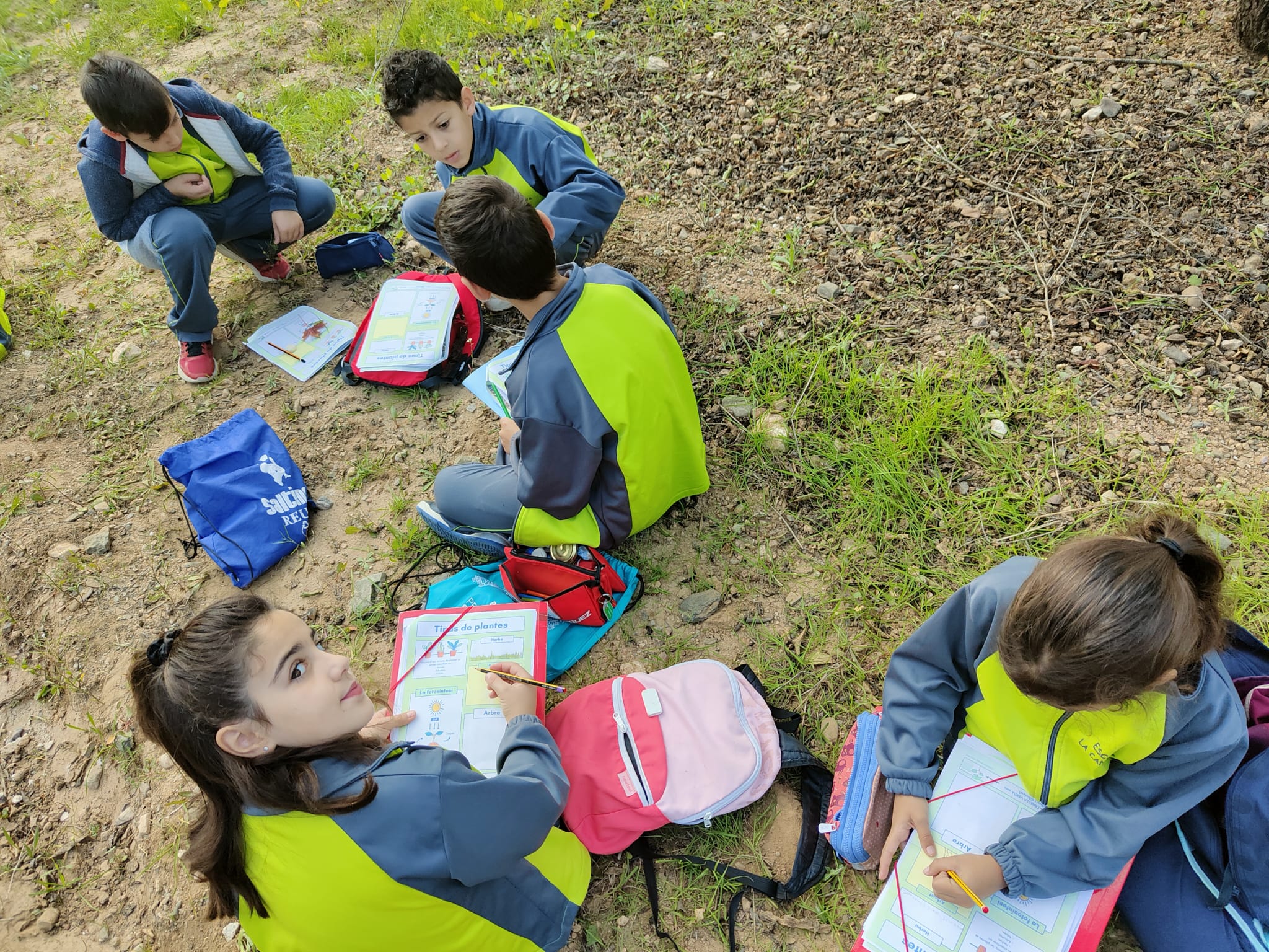 45d12ff5-fe0c-4f9b-ab56-b9567735137a