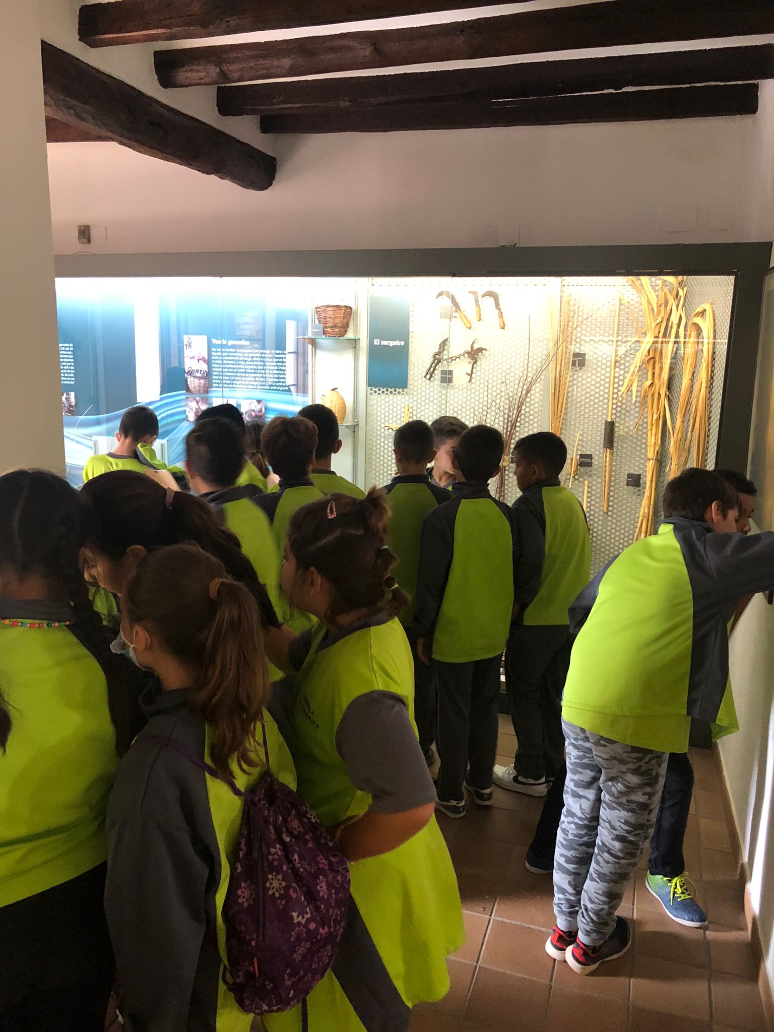 5cb4eeab-ccf3-48a7-97d7-756d41c62d37