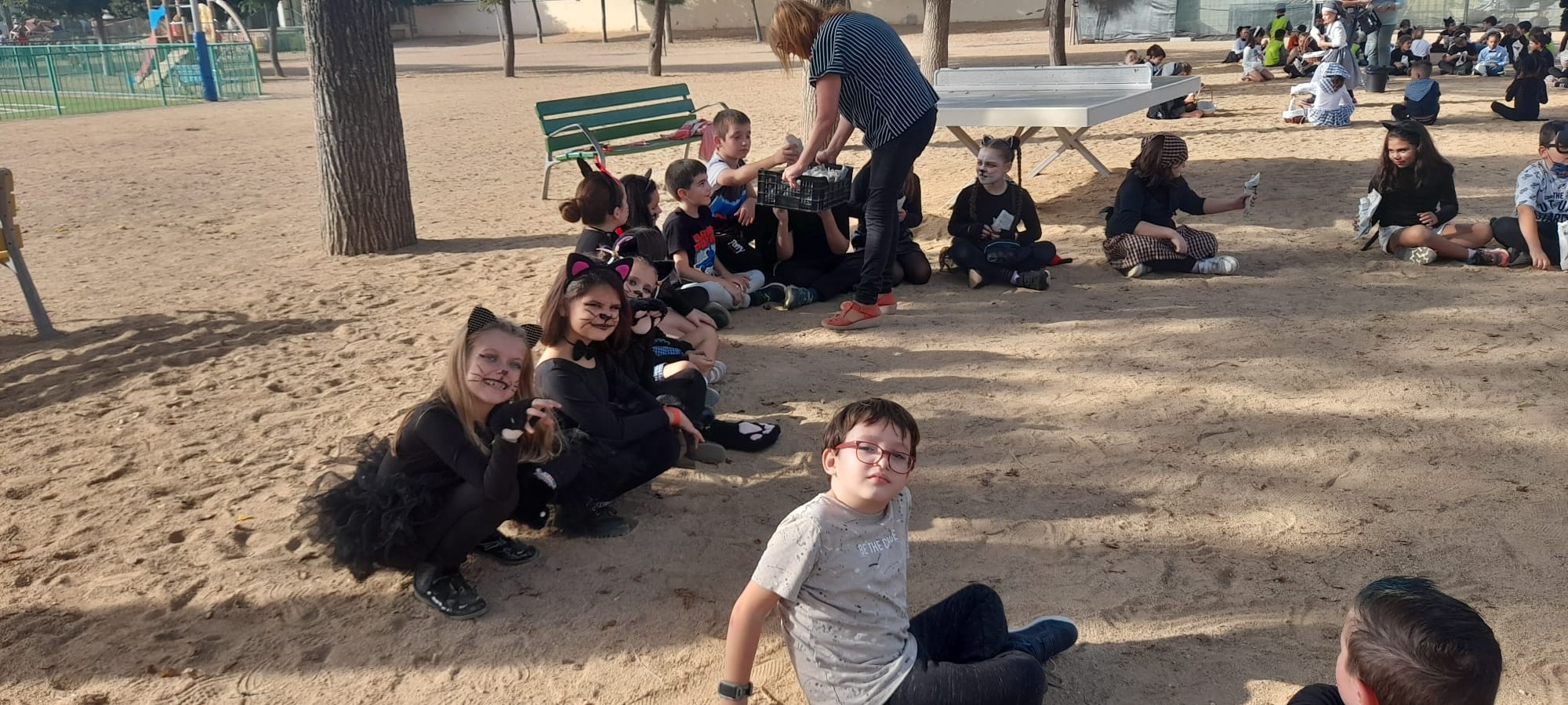 6e2481e3-eeba-4d1f-8c70-0ad60b7065a5