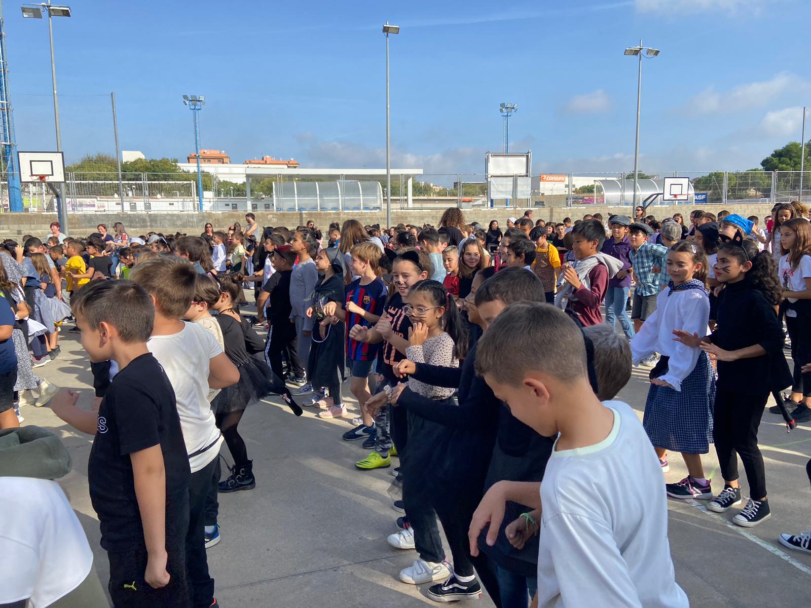 70dc4435-706f-4e82-af6c-e5513abbee88