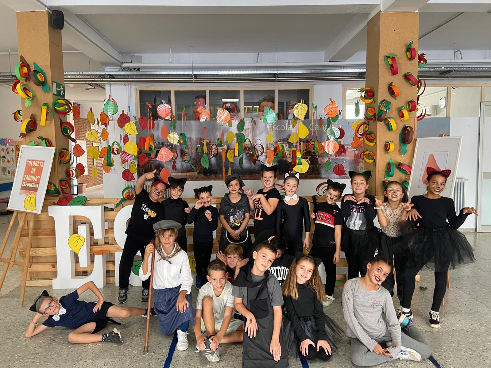 8d318c36-c50d-4de0-b5c2-3d5e41e13838