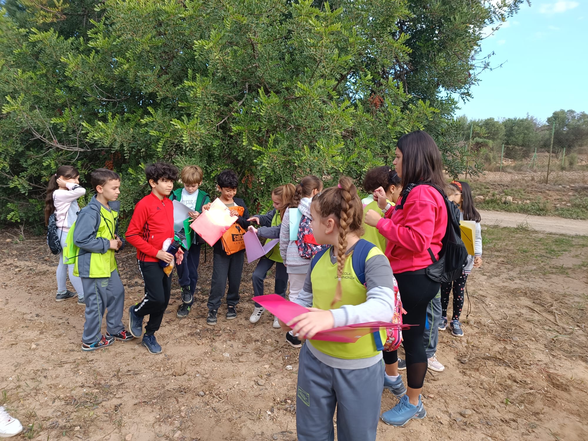 965e0d82-ab0f-423e-bab0-f07525d462c5