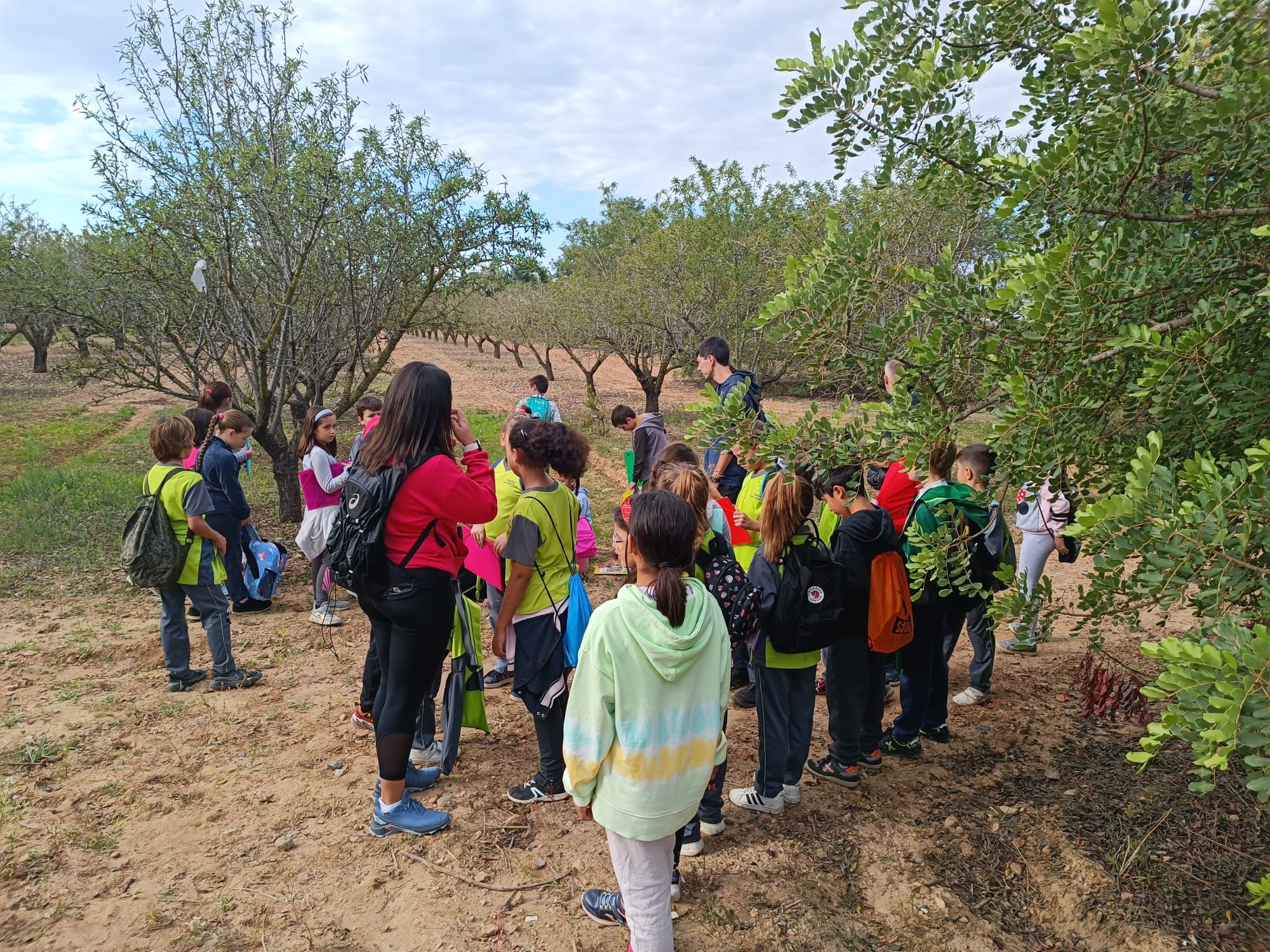 9ecb4e20-3f1a-4045-85b4-6b03c9a521dd