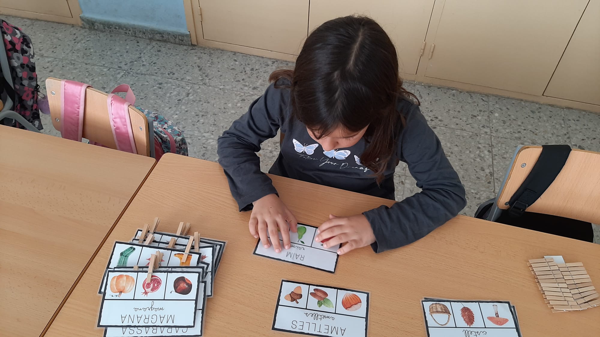 e2838589-5310-4af5-9b21-ddc90e147335