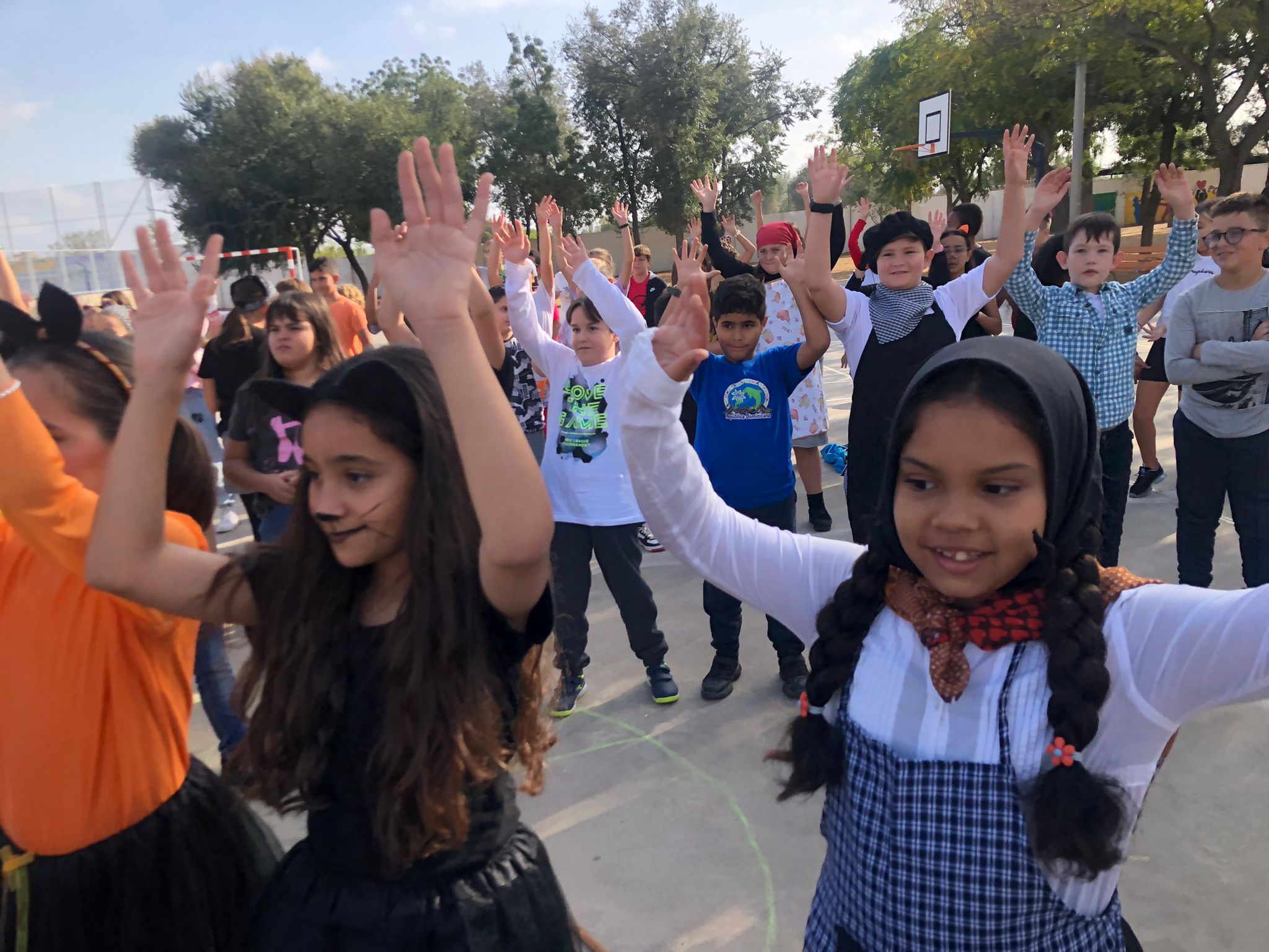 e65a7ab8-a940-4cfe-bea8-a4c82ecf84b1