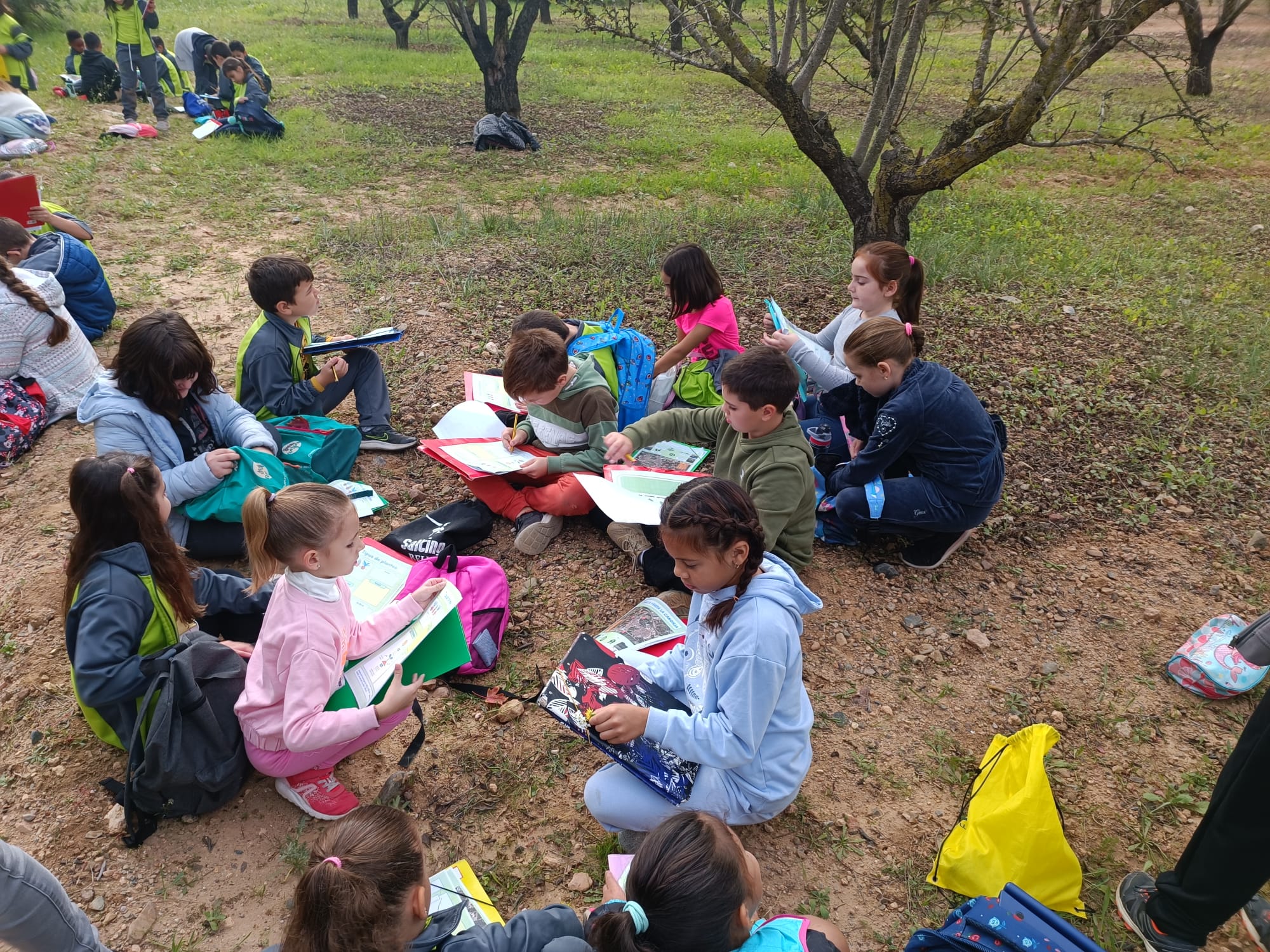 e923219a-c987-42ee-9d75-064773982dc2