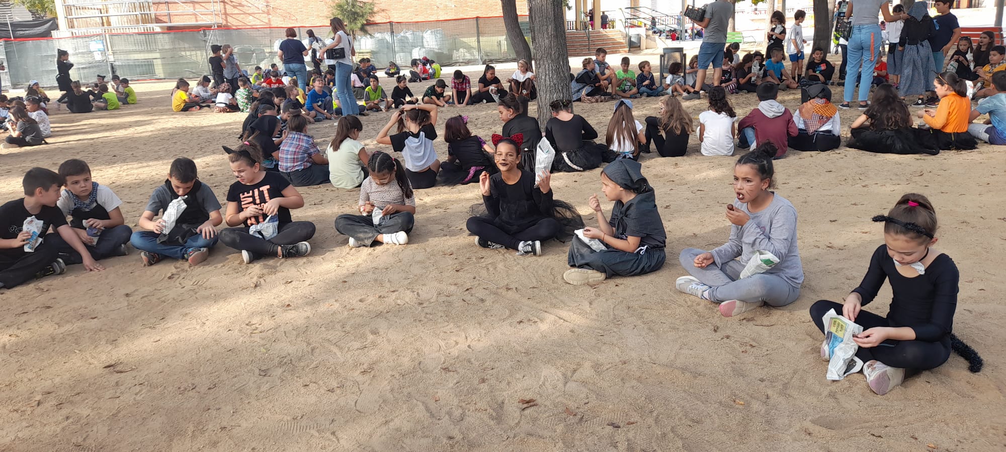 f2dfc8ef-5b82-41ac-9624-884e73182f13