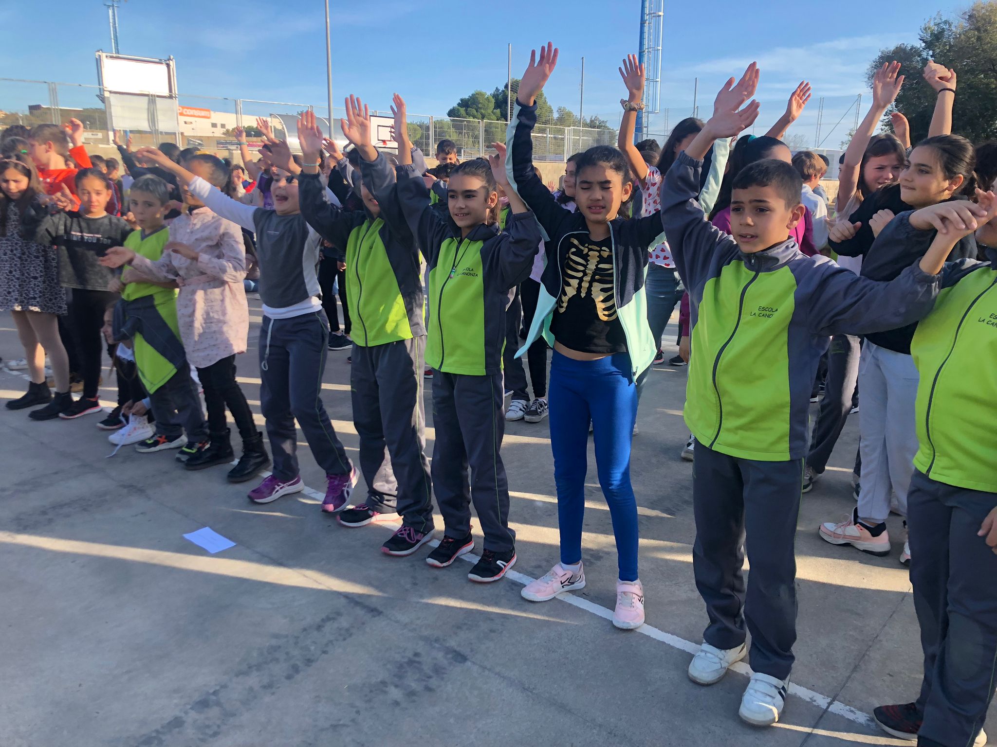 f4fc2d44-337a-49ce-8a8d-a887e9469575