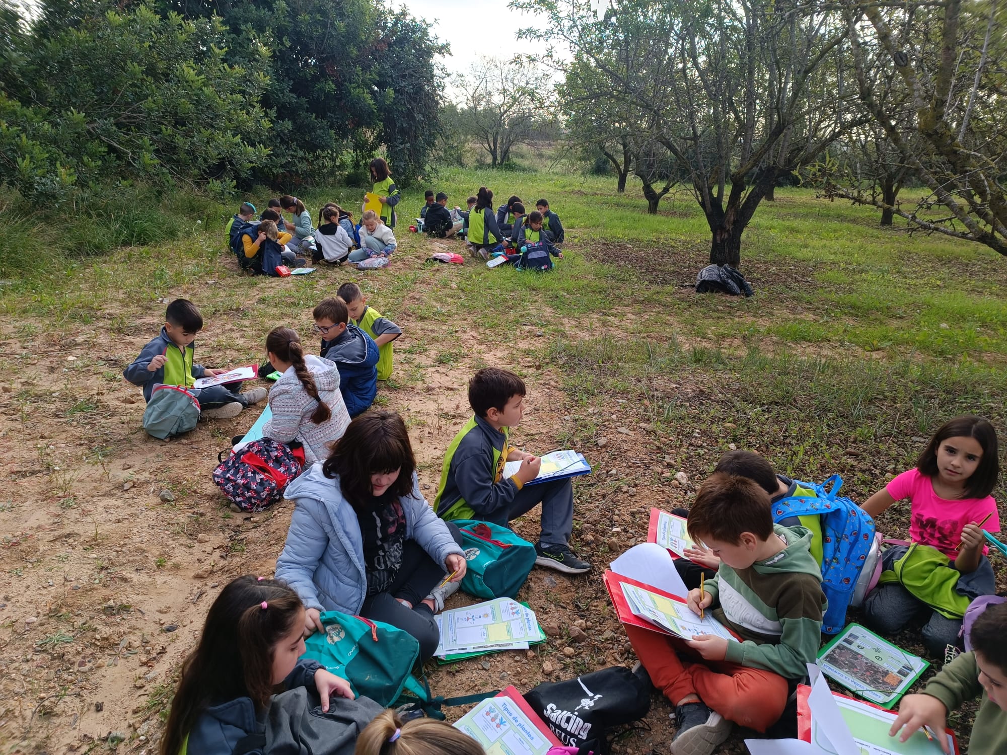 fe355db4-41ea-4486-b99e-9b31e3a9b748