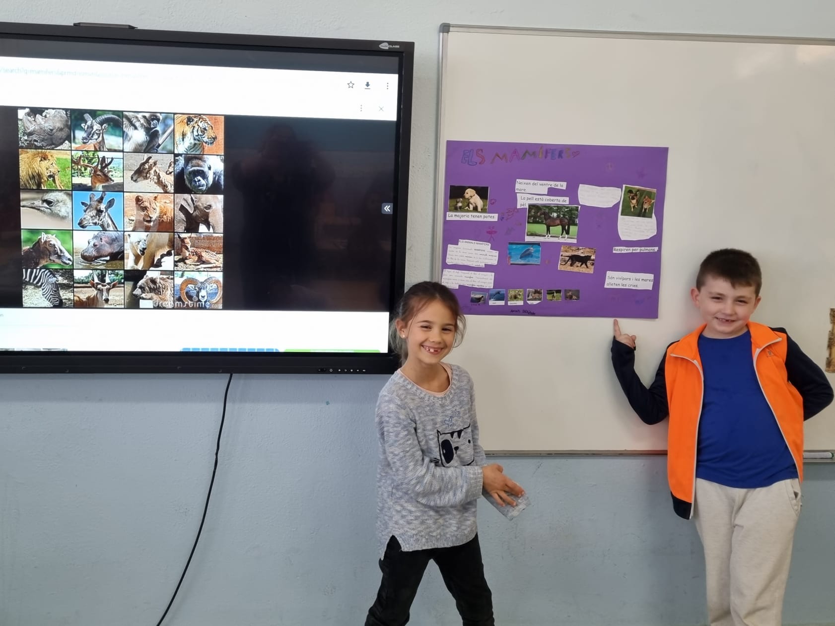 d4be0383-7034-41e6-bdb8-898c6c9054d6