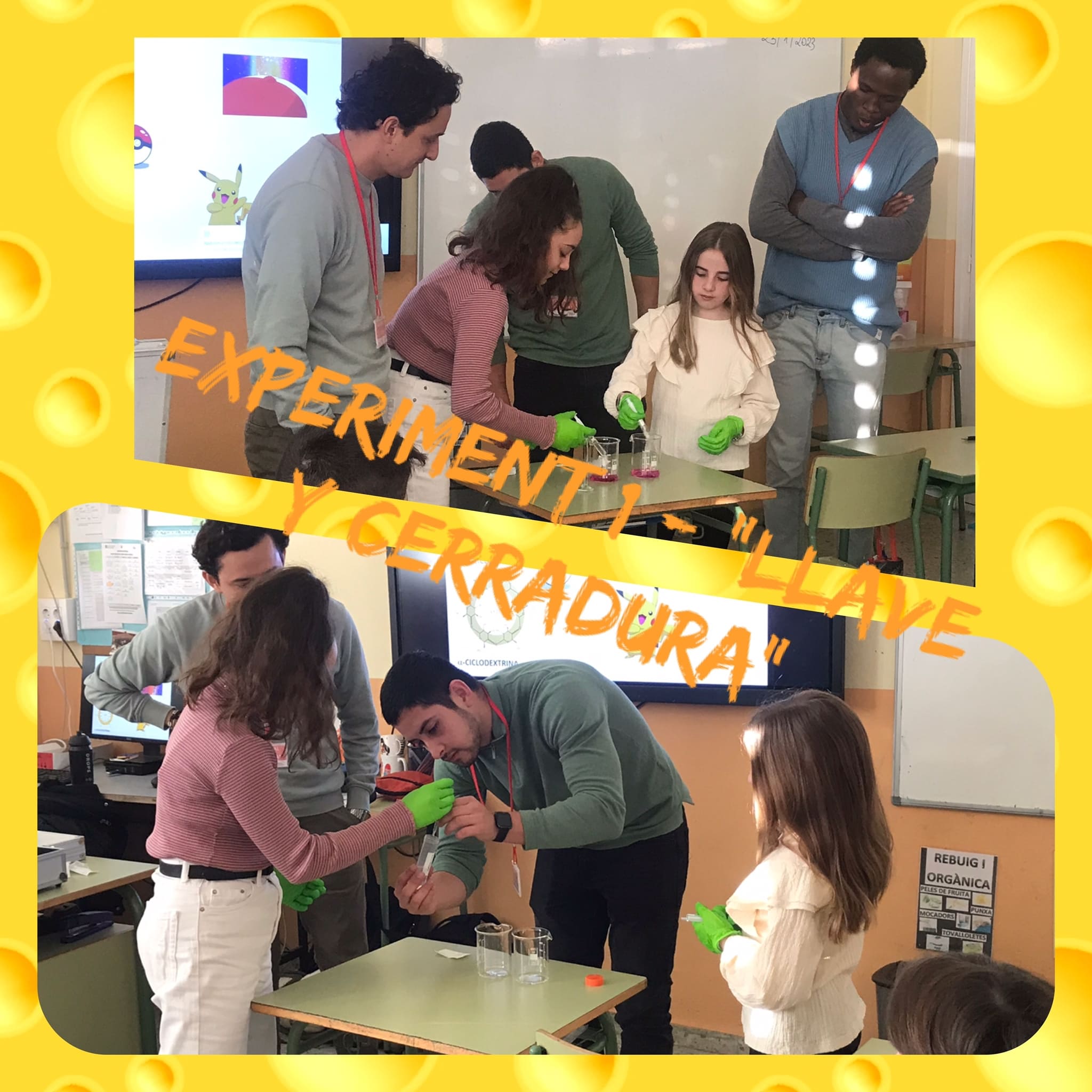 WhatsApp Image 2023-01-23 at 13.00.37