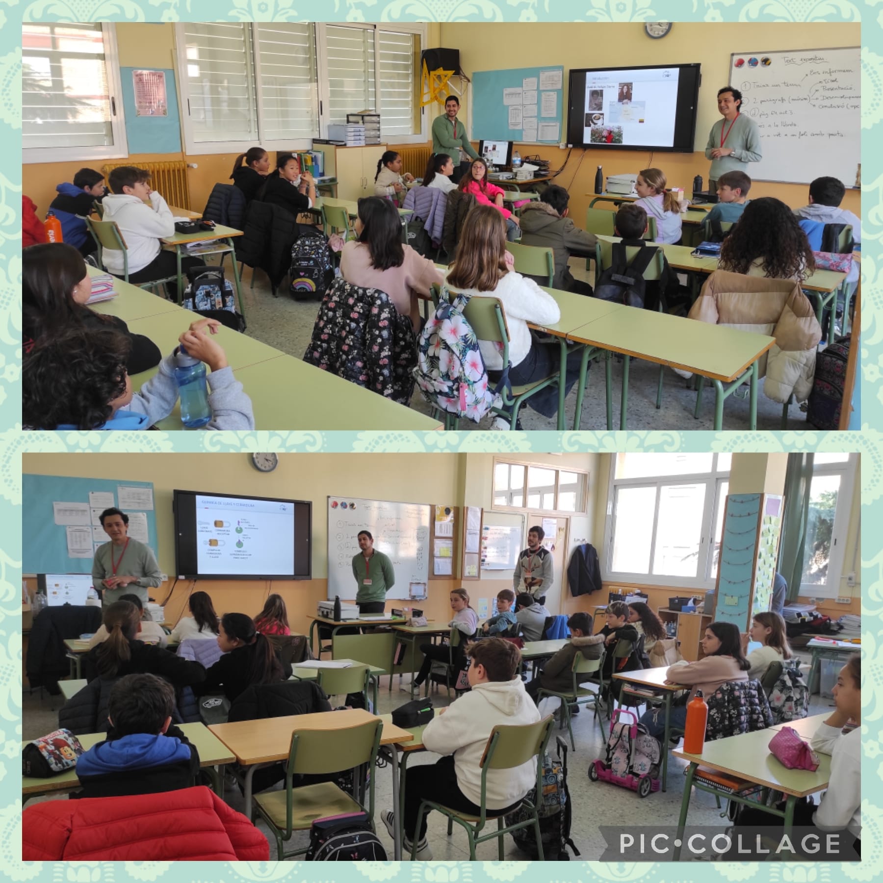 WhatsApp Image 2023-01-23 at 17.11.58