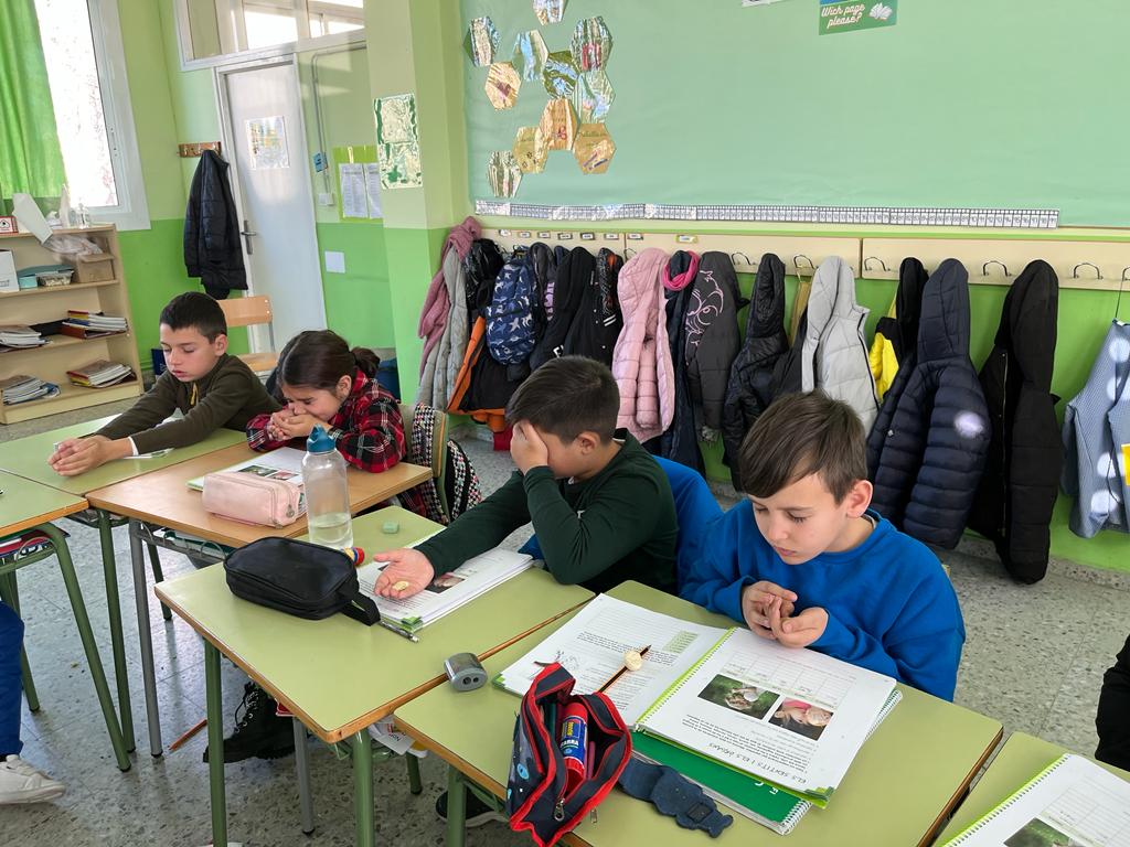 0495c59d-94f3-4f76-9a30-b438dddf0b78