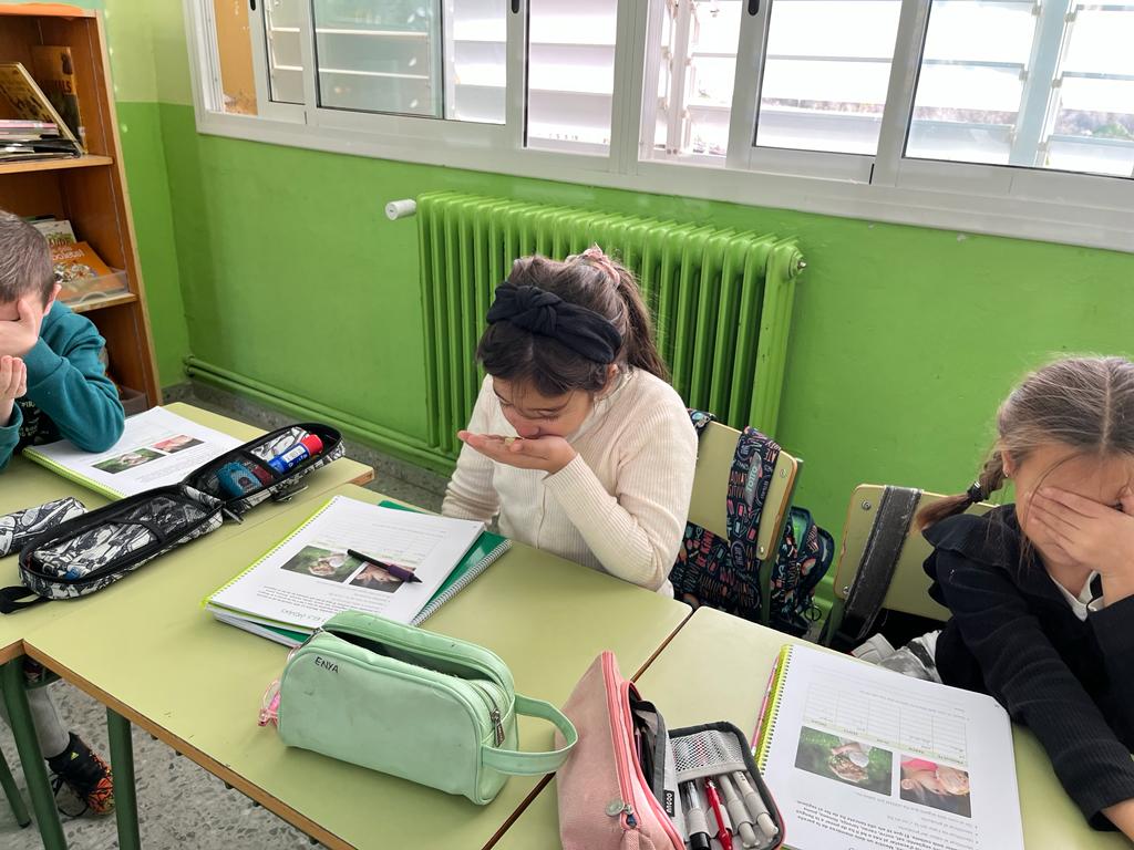 12703602-ddc0-4bc2-967a-4785b31c8023