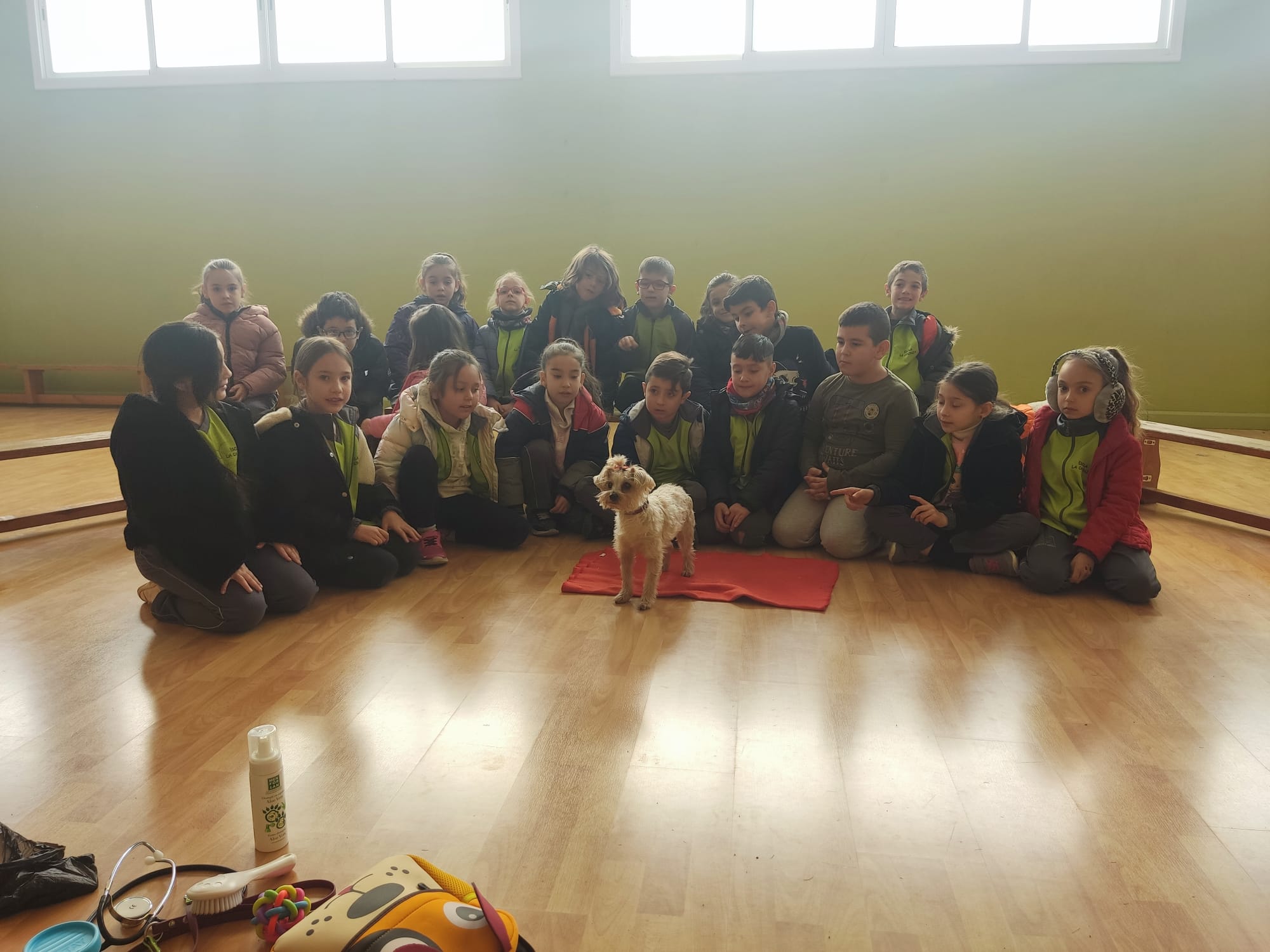 2c7ad0c5-6f75-4335-a289-7f341ad3a308