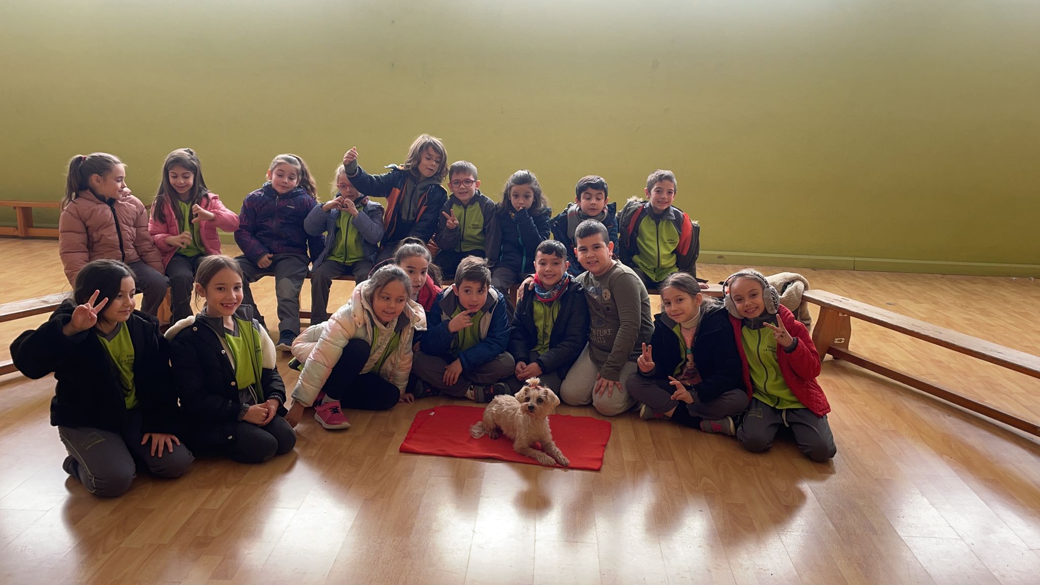 3eedf184-fc51-4a7f-888c-25d444ecce06