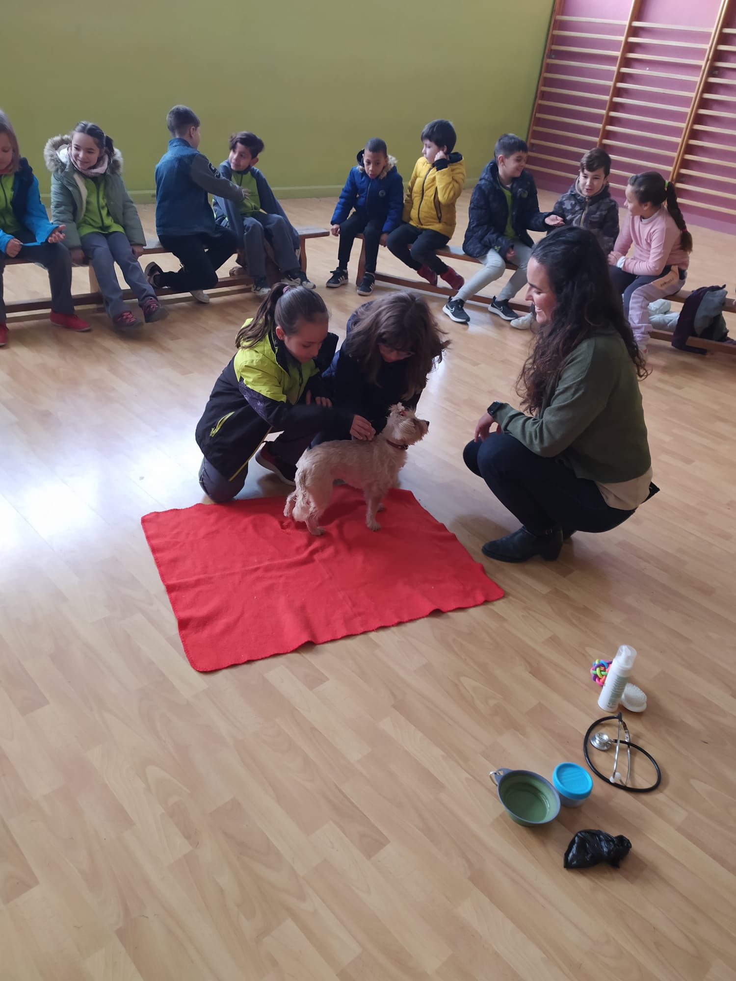 3f513148-ced9-4505-897c-a75ab9cea2fe