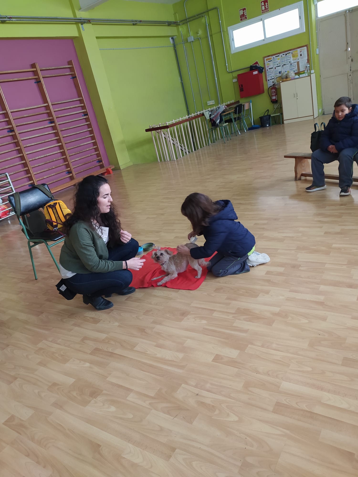 79e41ea6-91de-4df8-a20e-156d9f0cc2c6