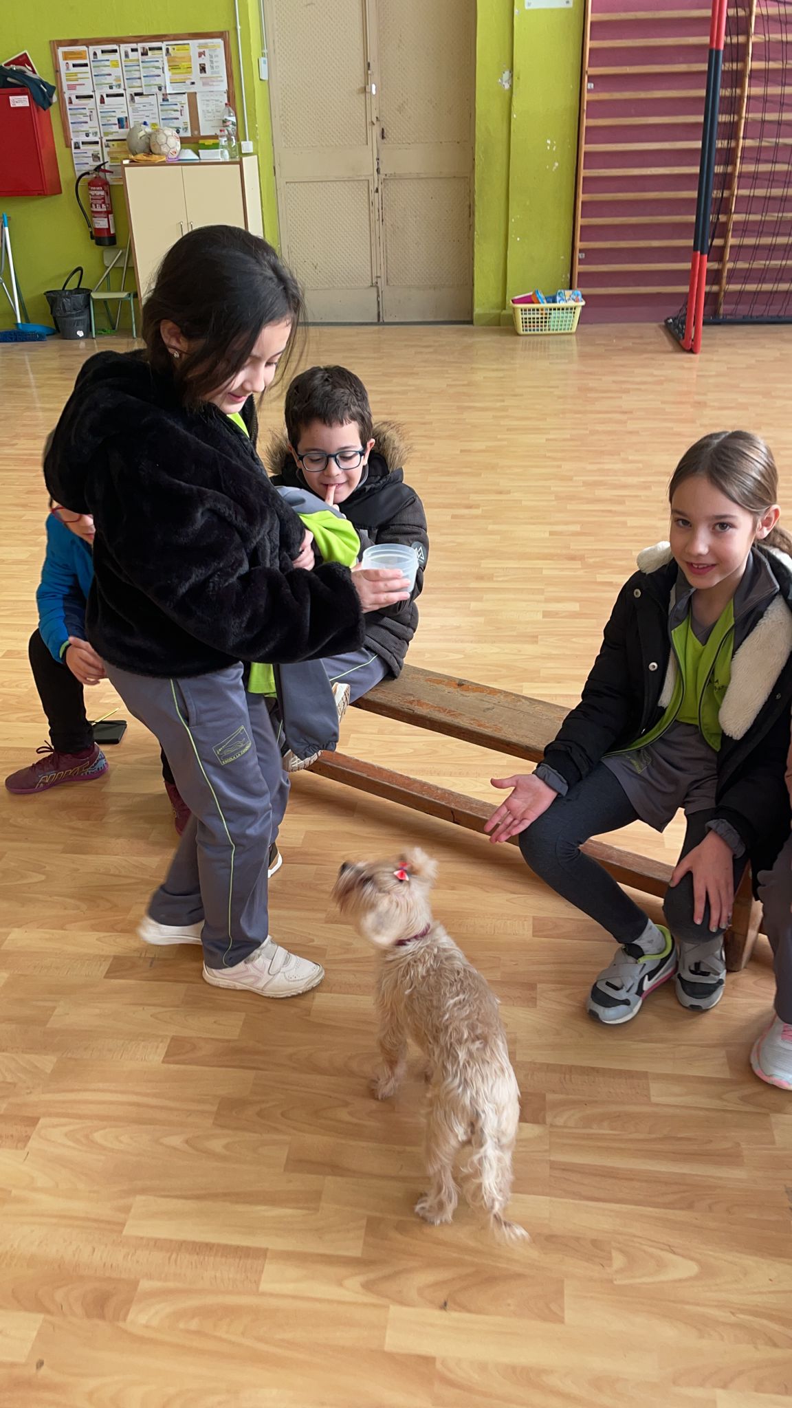 7e60aaaf-4854-402c-8cf0-9b069edd6e46