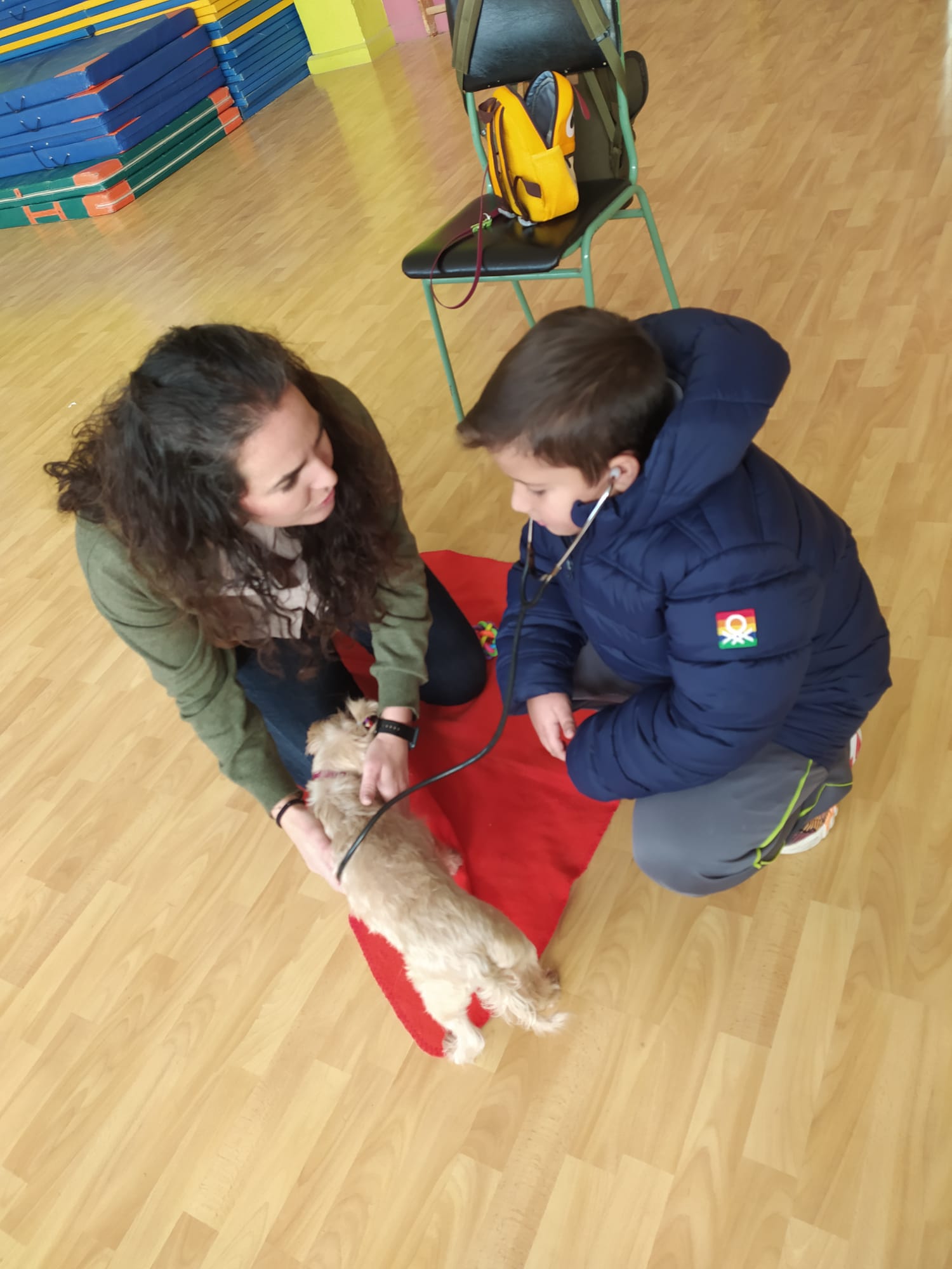 9fac8c47-d5d6-48c8-b0e4-acda571940ff