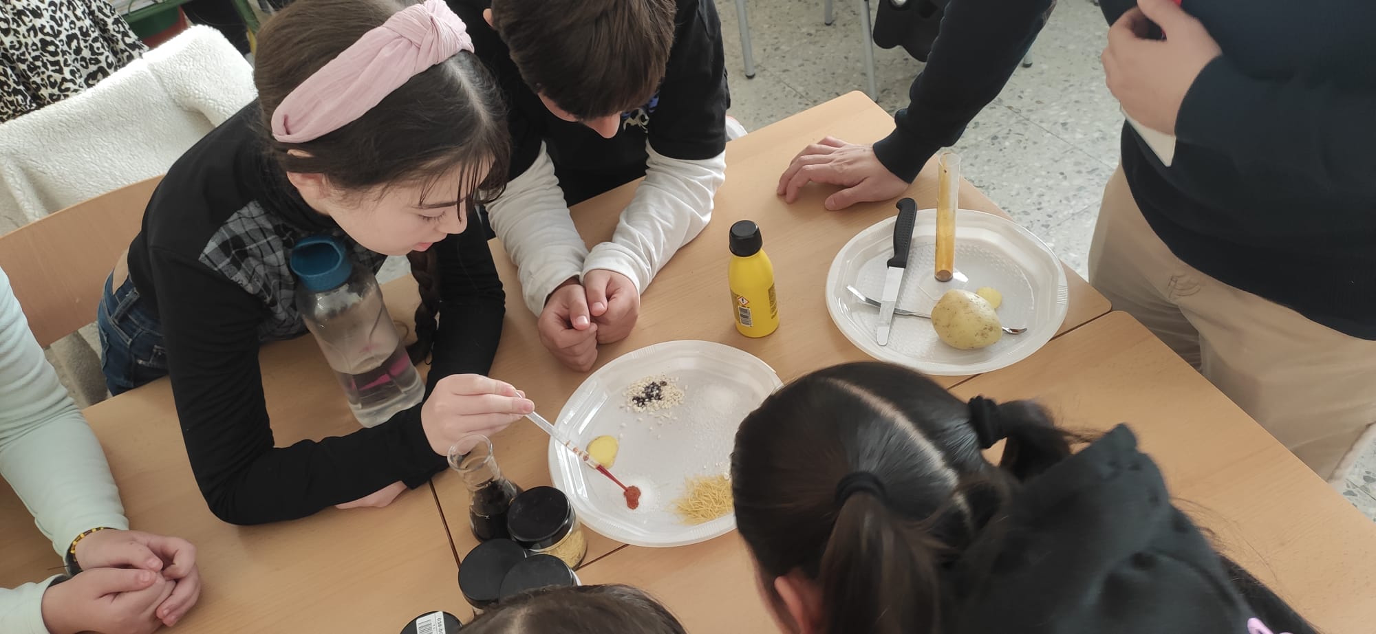 WhatsApp Image 2023-02-01 at 16.06.06