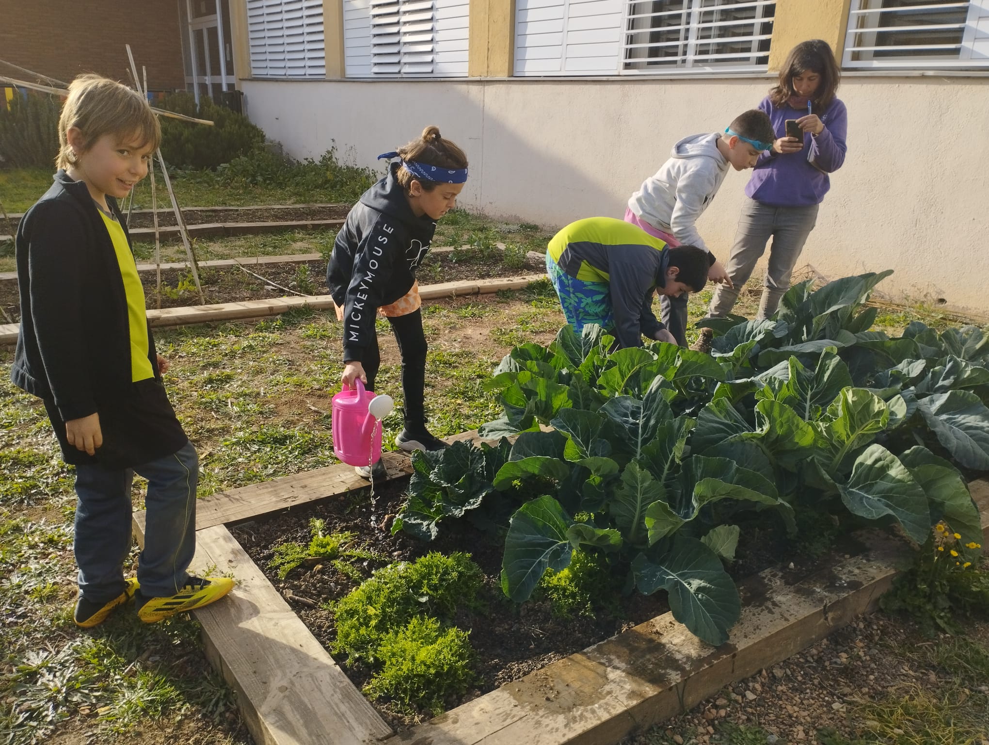 WhatsApp Image 2023-02-14 at 16.41.28