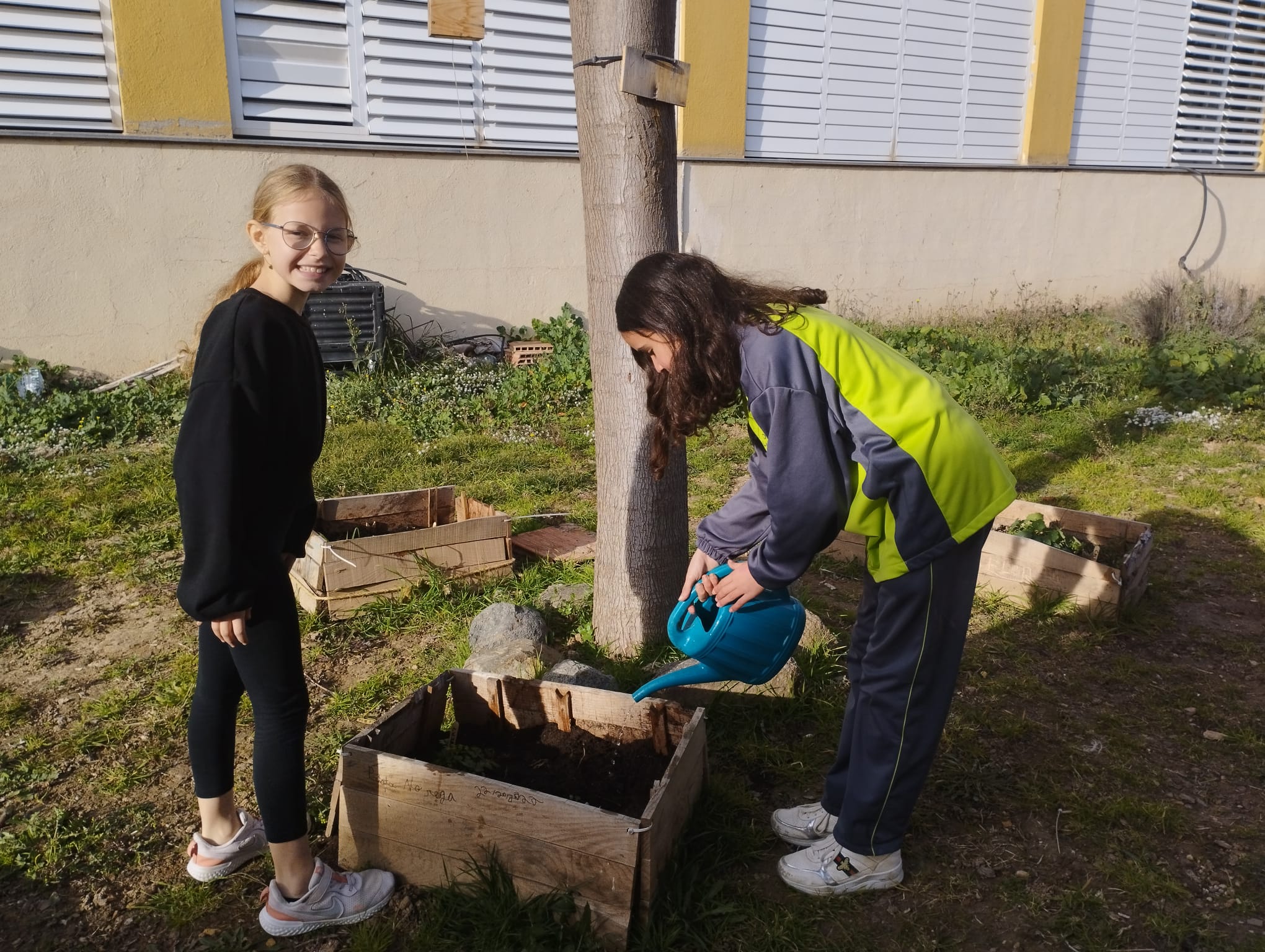 WhatsApp Image 2023-02-14 at 16.41.30