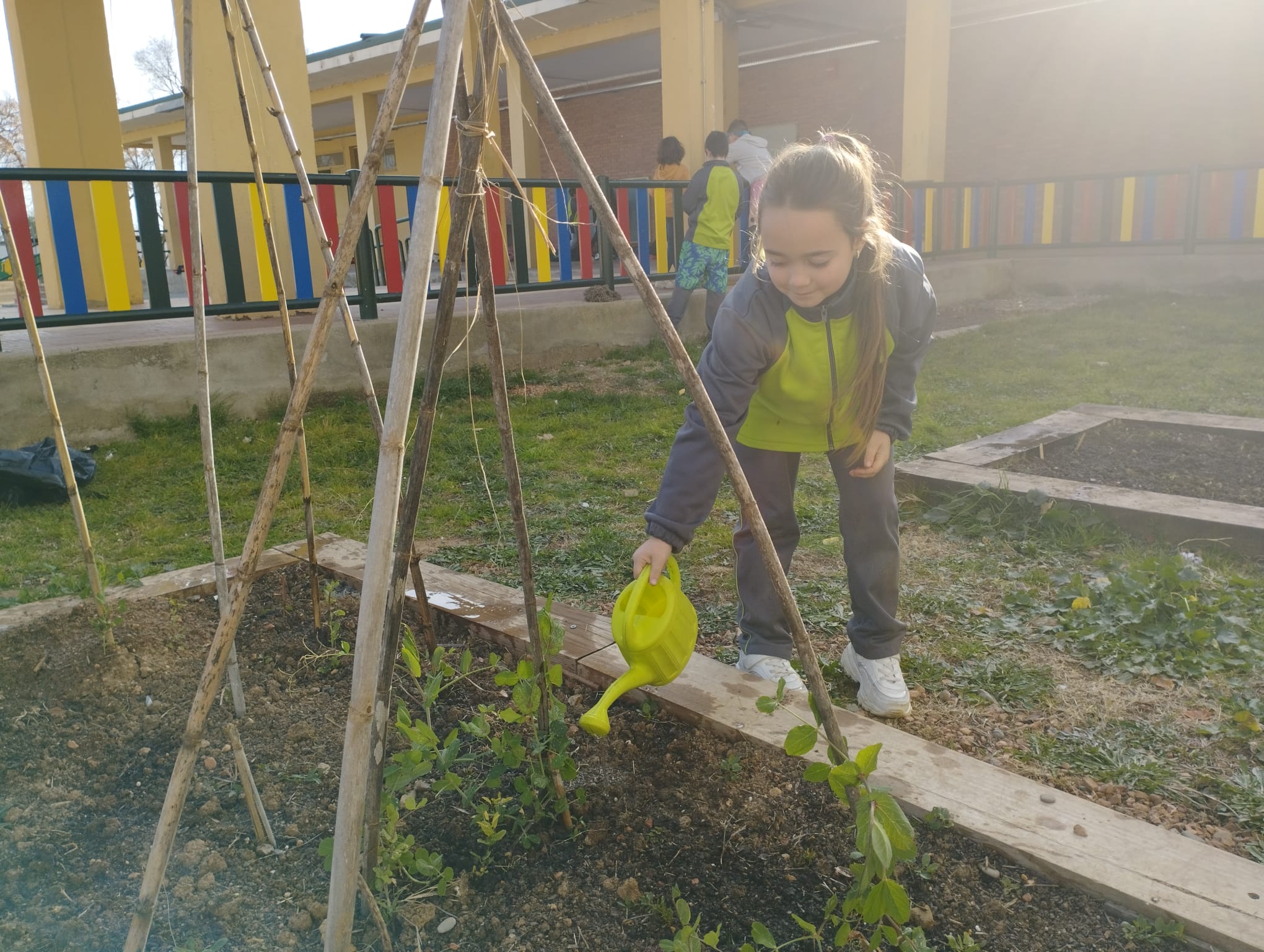 WhatsApp Image 2023-02-14 at 16.41.32