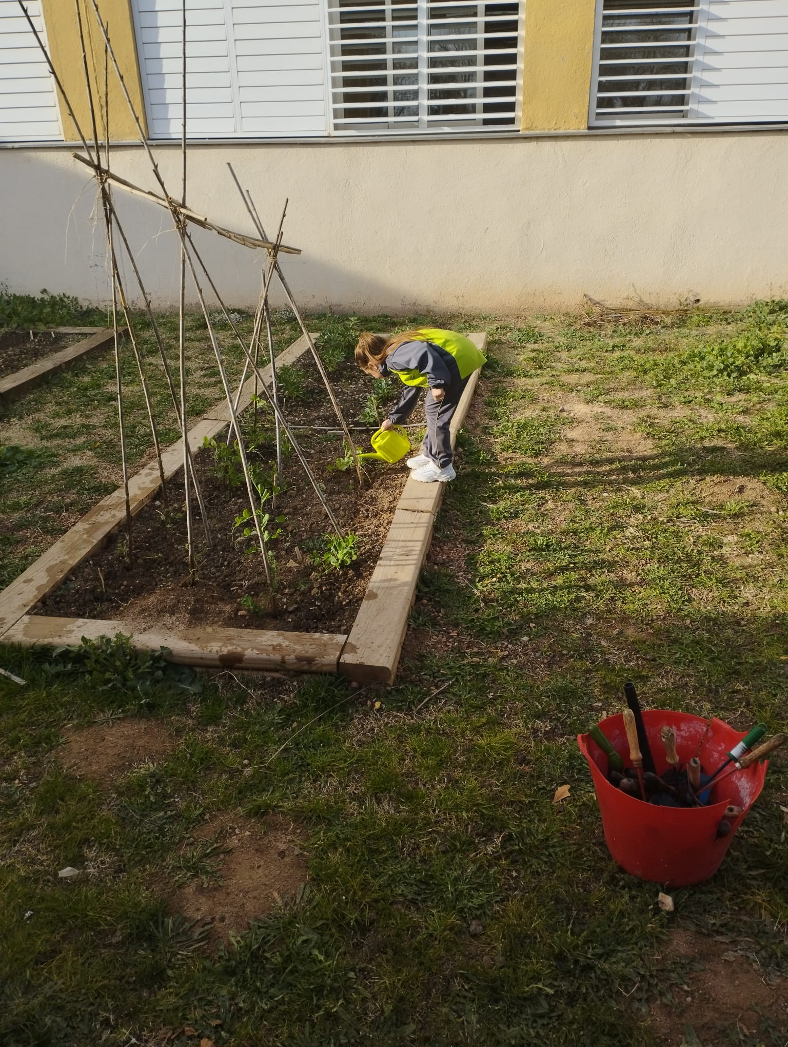 WhatsApp Image 2023-02-14 at 16.41.41