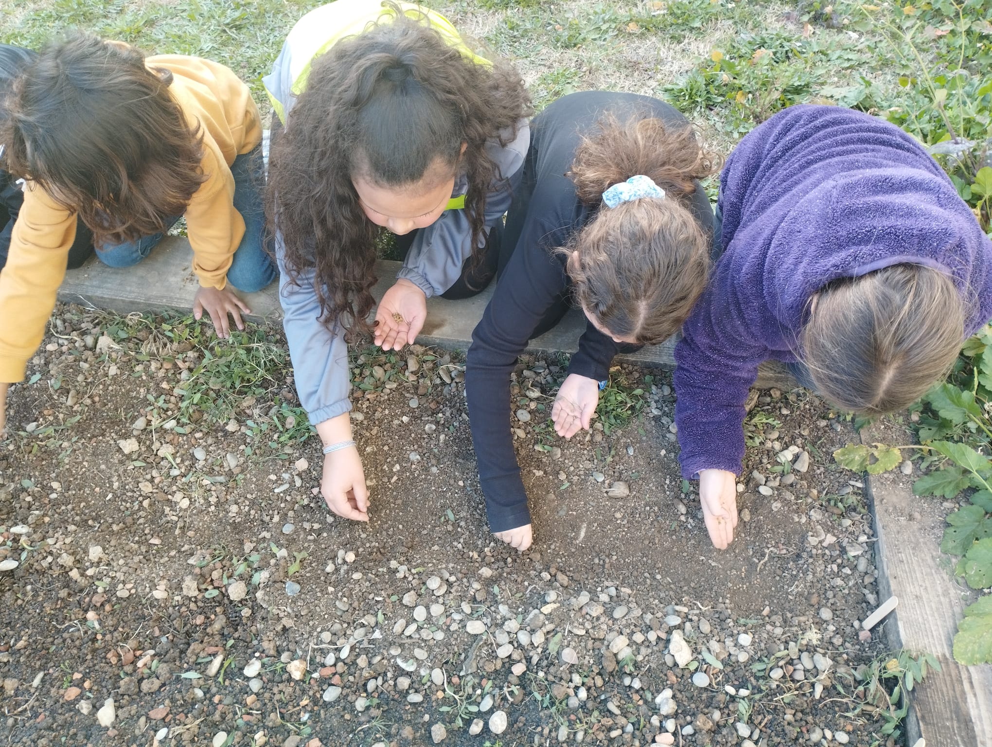 WhatsApp Image 2023-02-14 at 16.41.44