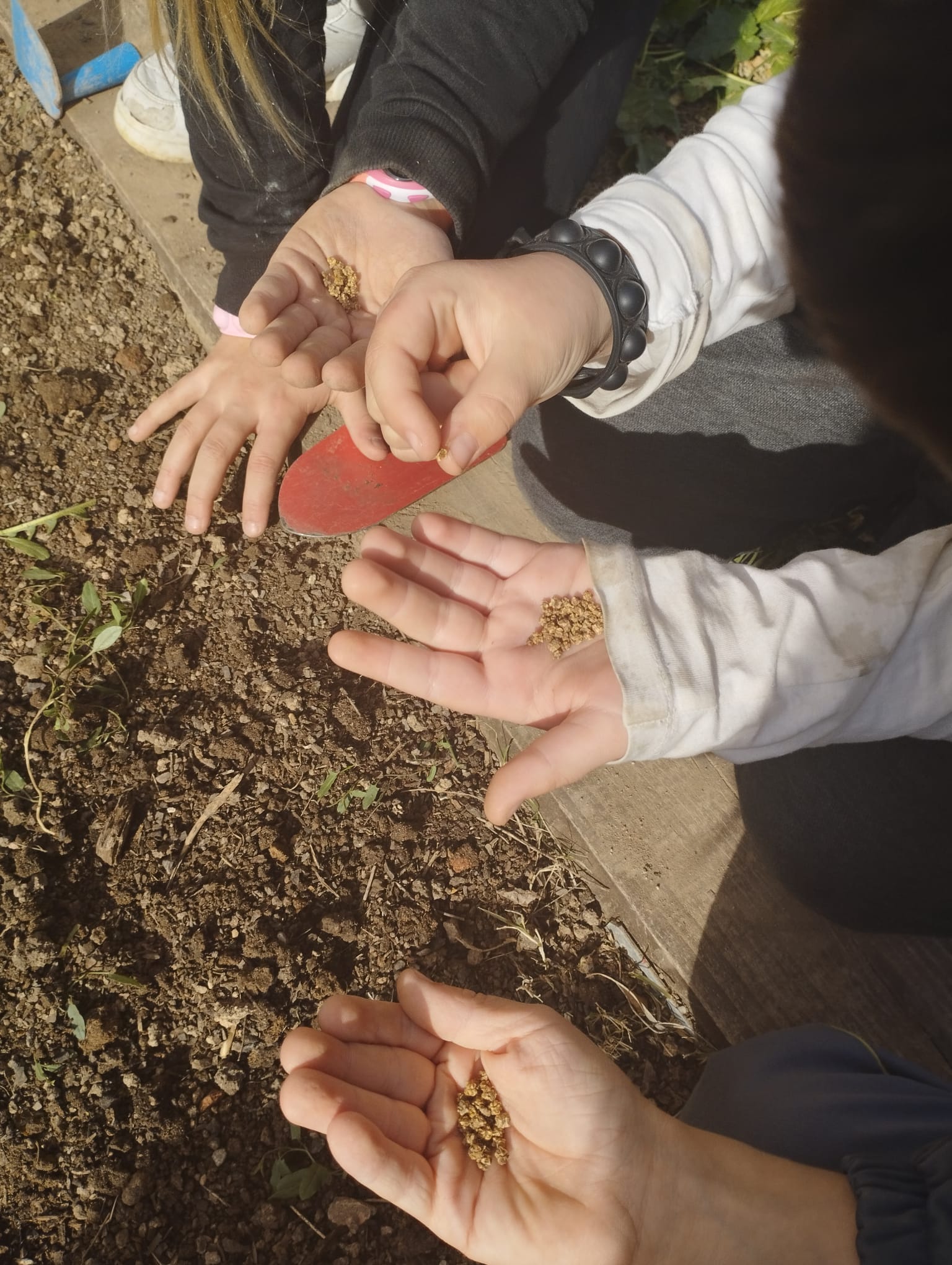 WhatsApp Image 2023-02-14 at 16.41.50 (1)